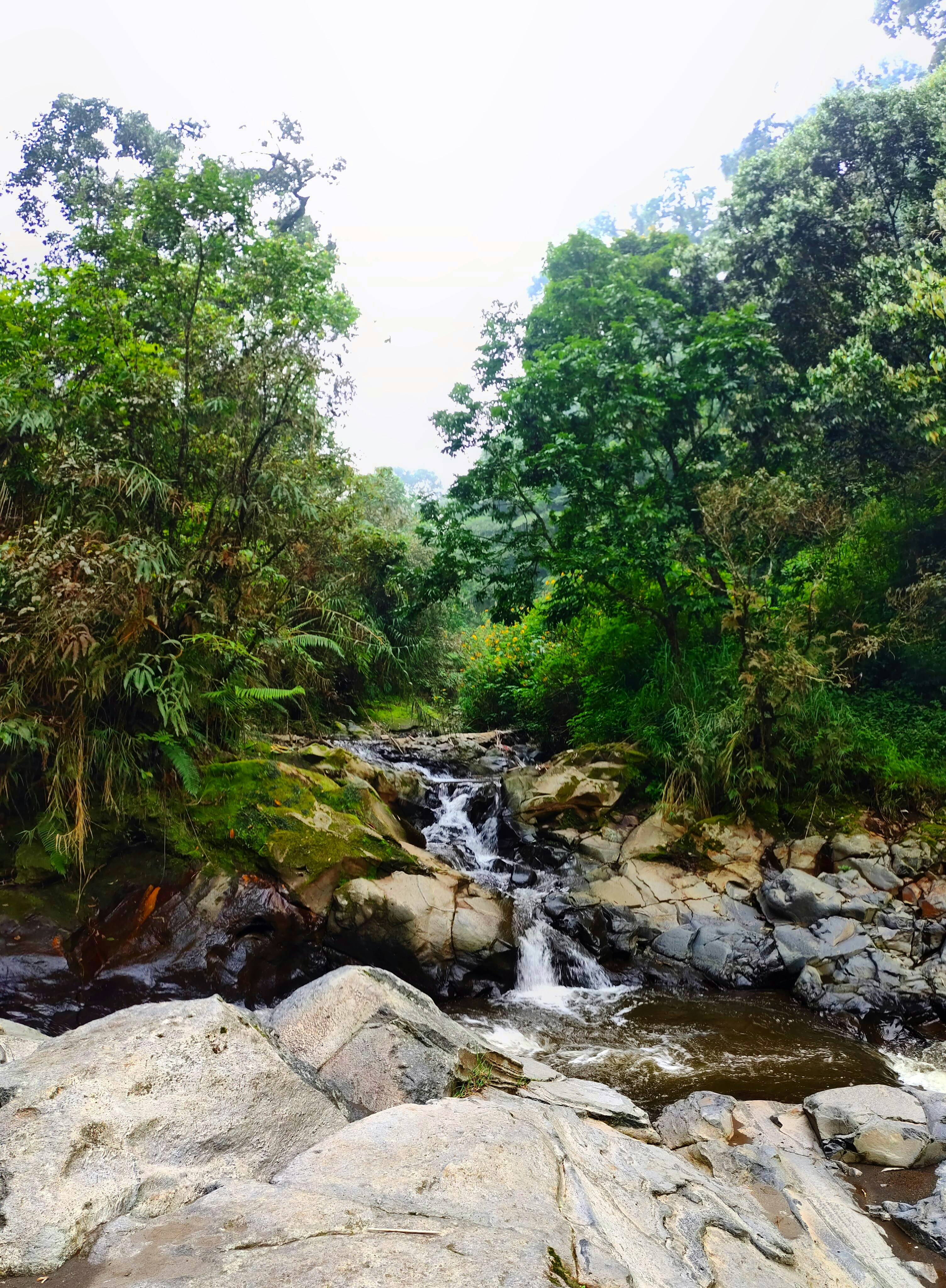 Photo by farishidayat_15