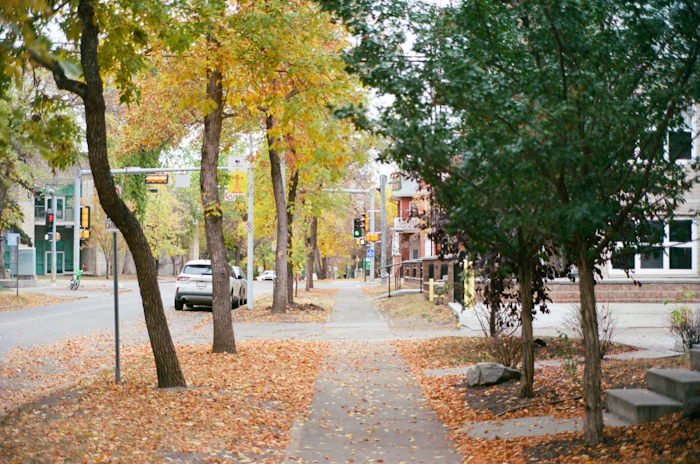 Most Walkable Neighborhoods