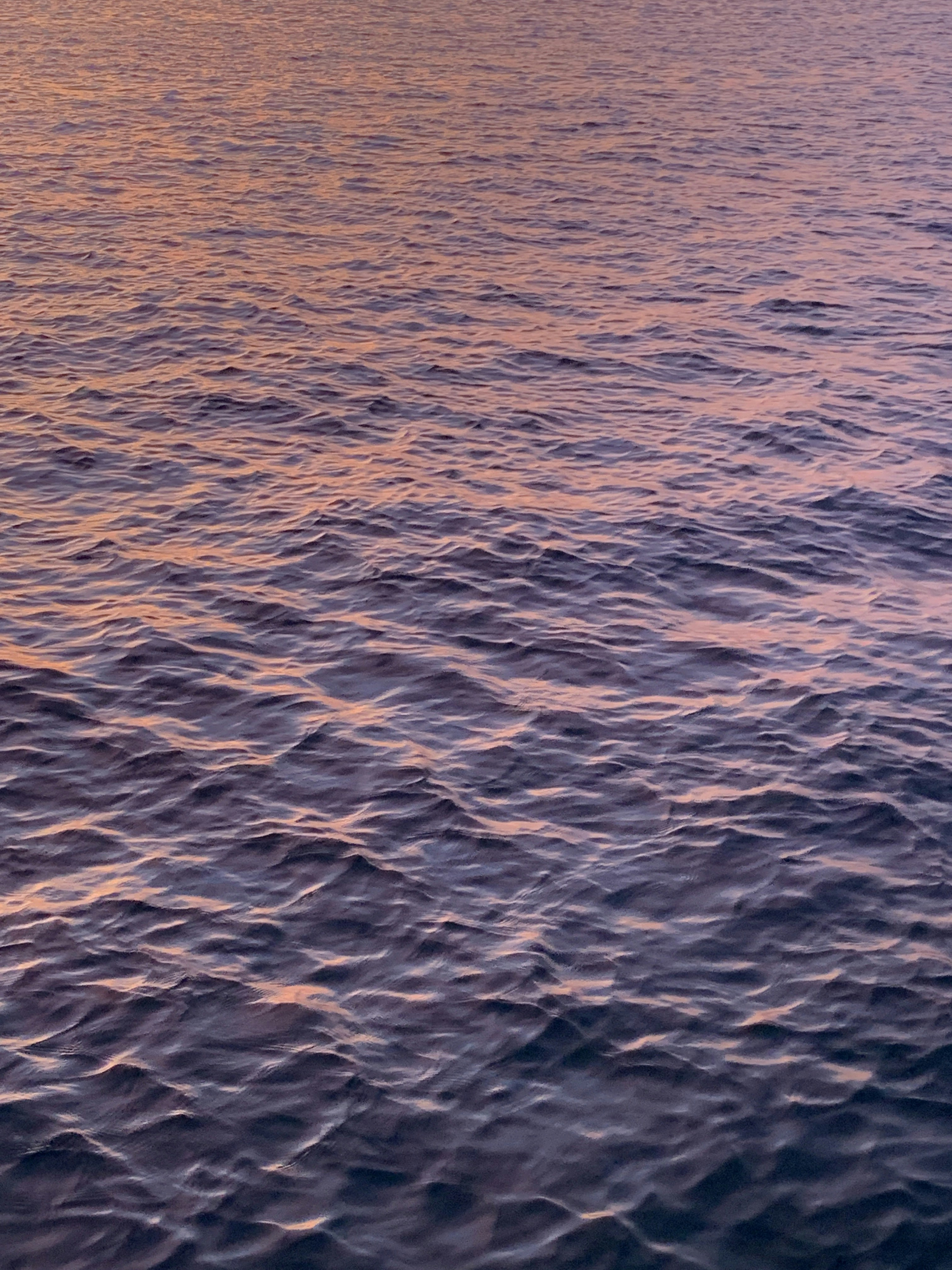 Photo by inadeishappy