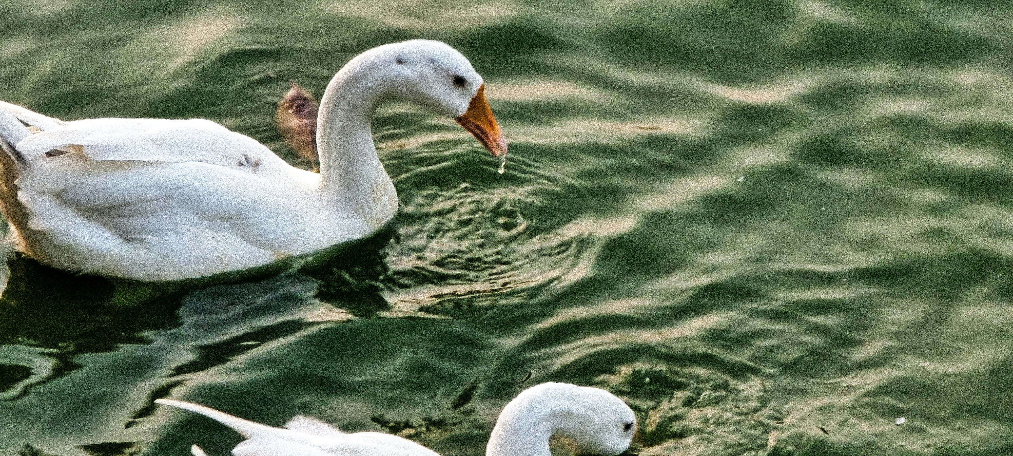 Photo by himanshu911