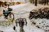 A close-up of a stationary bicycle with handlebars in focus. Another bicycle is parked in the background on a slightly snowy ground. The background includes a pathway, bushes, and blurred trees.