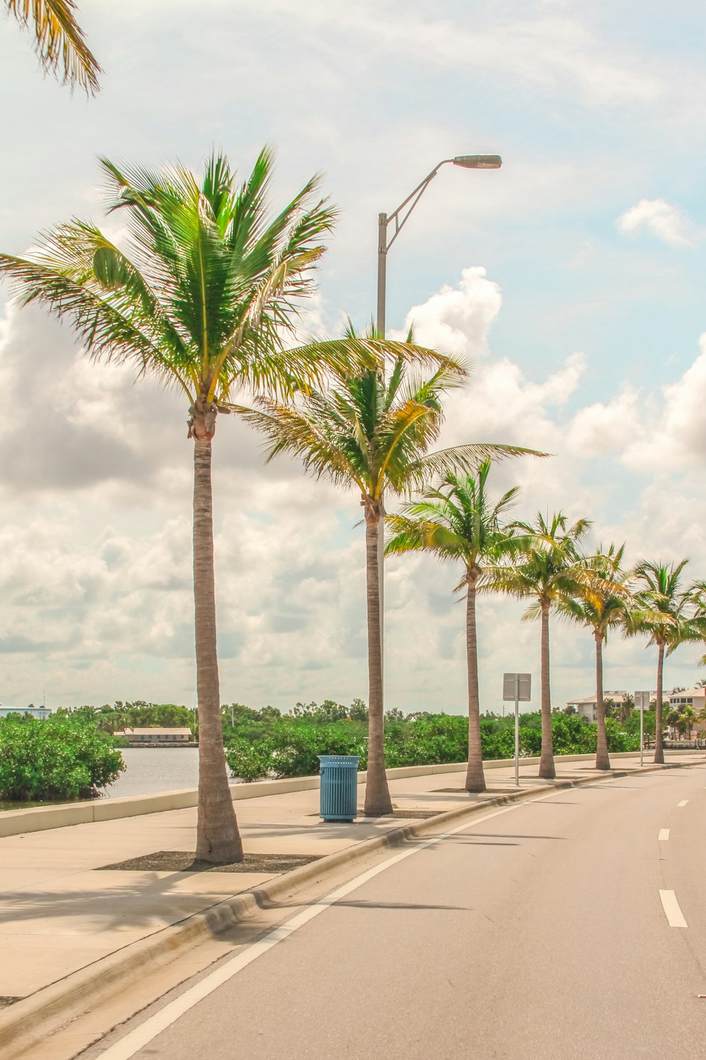 a street lined with palm trees on a cloudy day