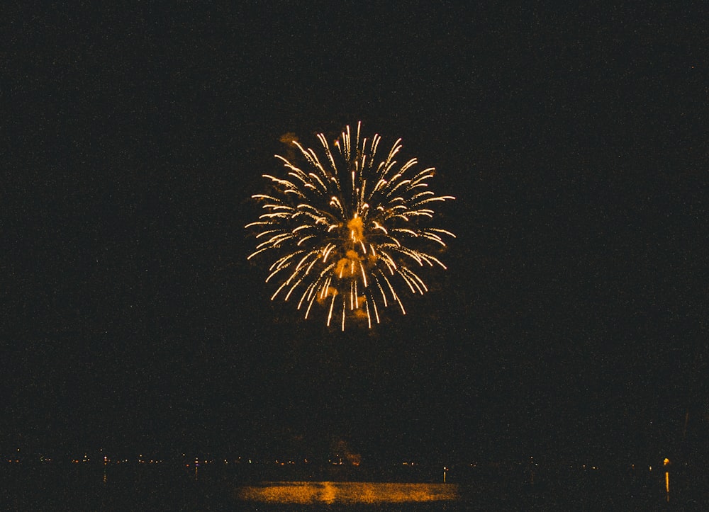 a large fireworks is lit up in the night sky