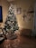 A freshly delivered Christmas tree standing in a cozy living room corner, decorated with warm lights.
