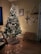 Warmly decorated living room showcasing various Christmas decor items from qbs e-commerce.