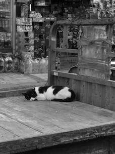 A black and white cat is curled up sleeping on a wooden platform in an outdoor market setting. In the background, there are shelves filled with various products including bottles and boxes stacked on top of each other. The market scene seems bustling with goods, although no people are visible.