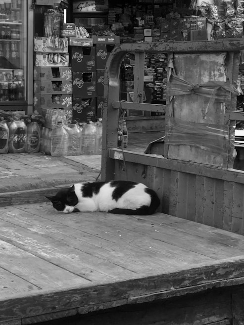 A black and white cat is curled up sleeping on a wooden platform in an outdoor market setting. In the background, there are shelves filled with various products including bottles and boxes stacked on top of each other. The market scene seems bustling with goods, although no people are visible.