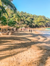 a sandy beach with palm trees and people walking on it