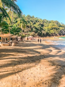 a sandy beach with palm trees and people walking on it