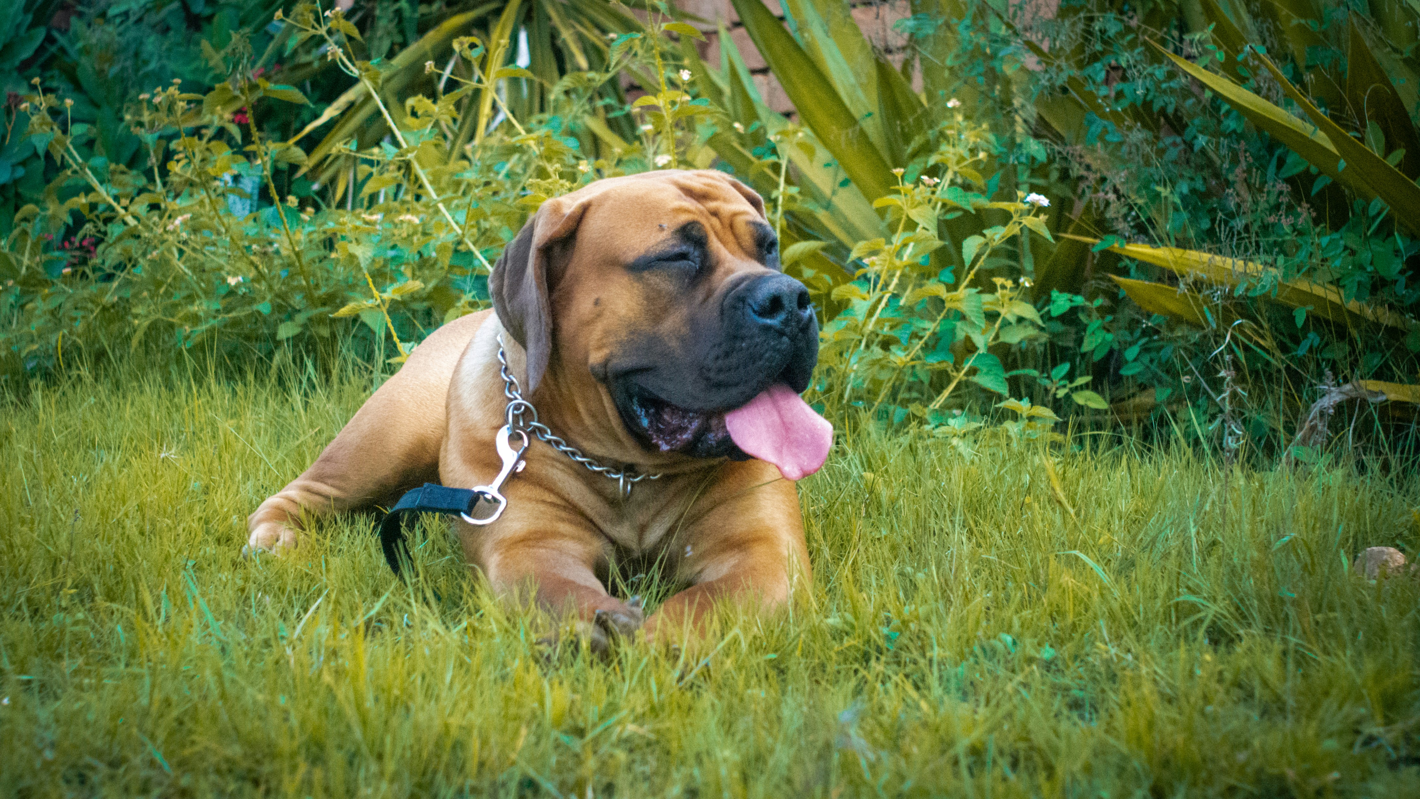 Photo by alekseyryan