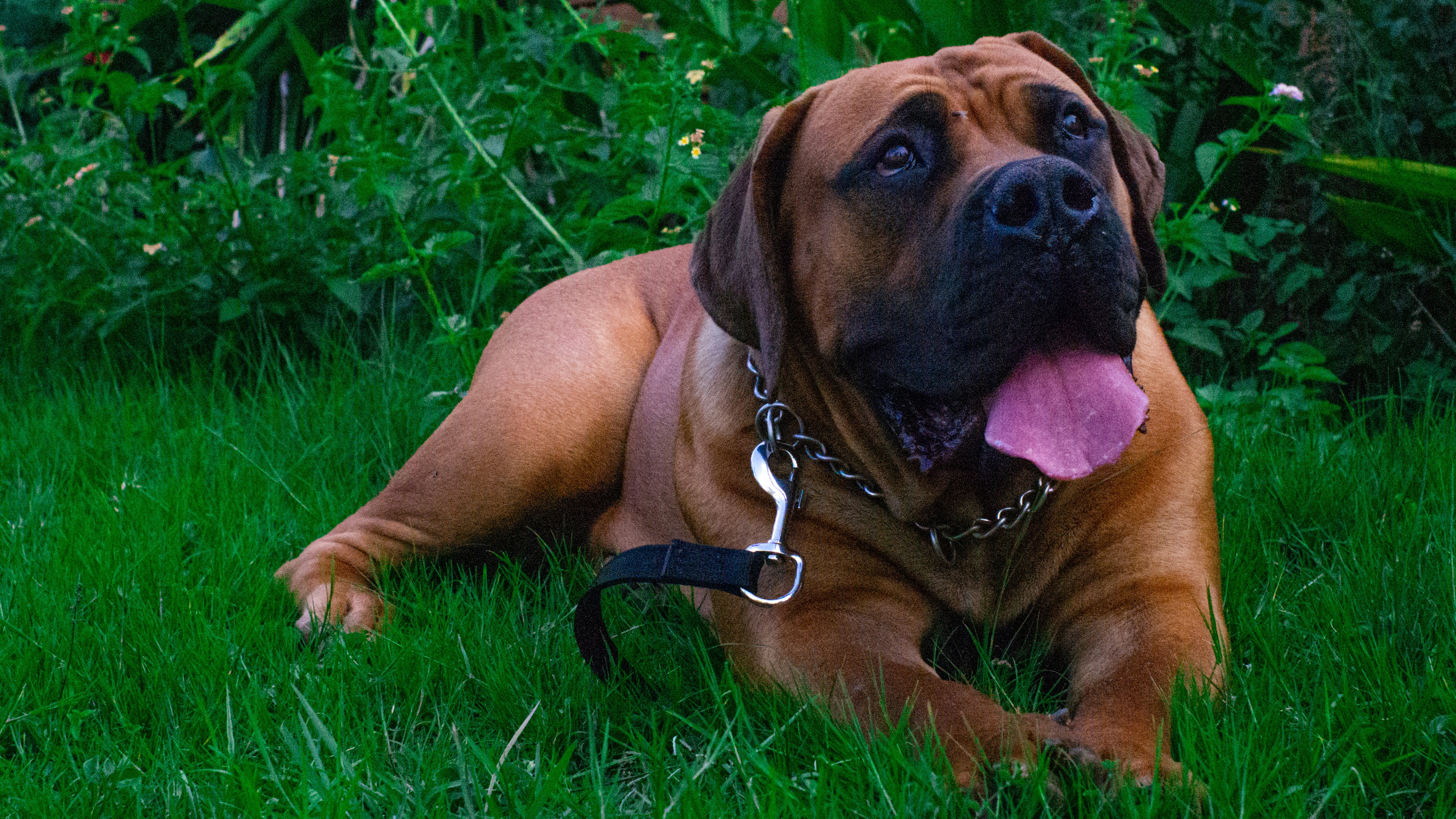 Photo by alekseyryan