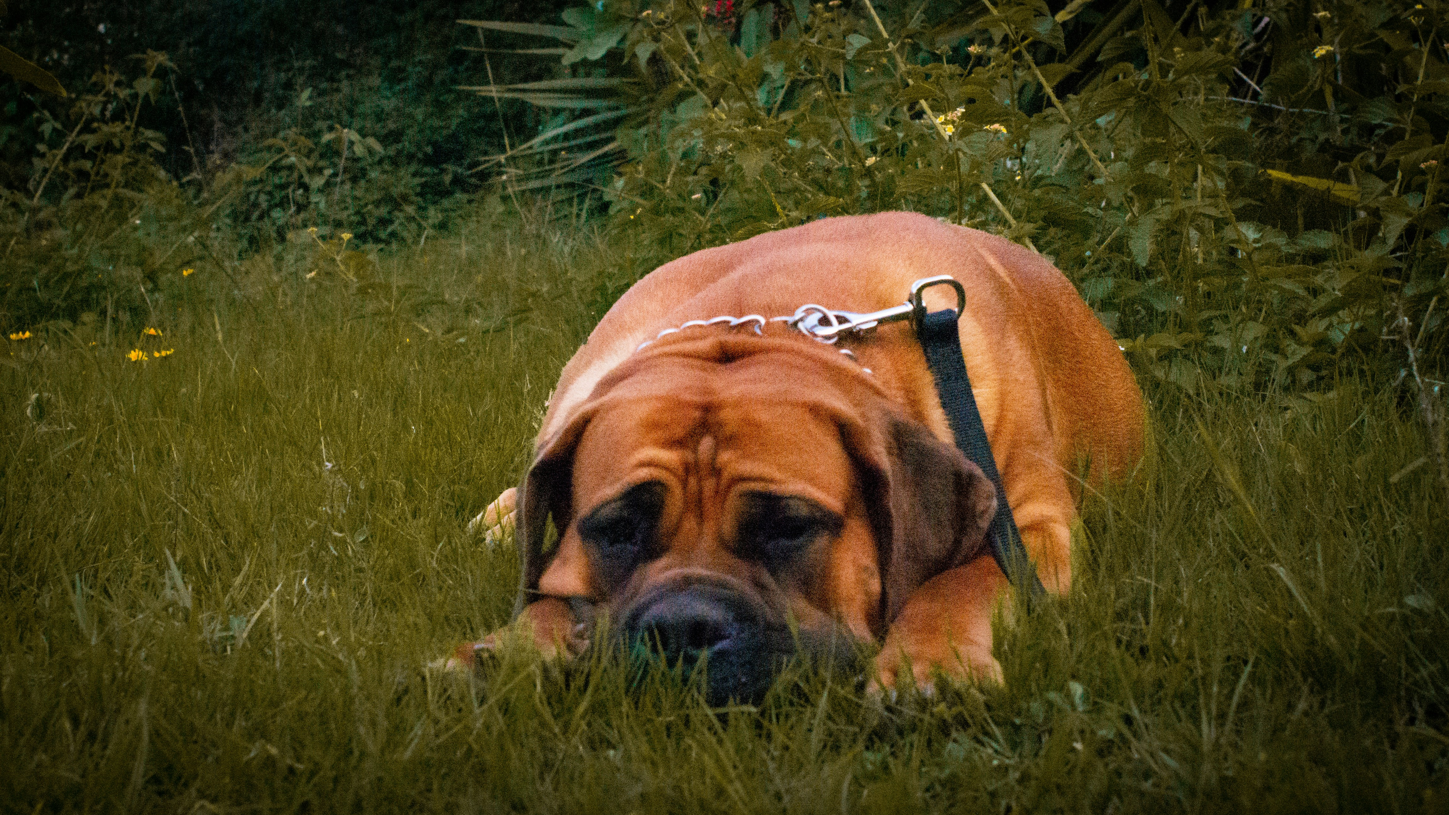 Photo by alekseyryan