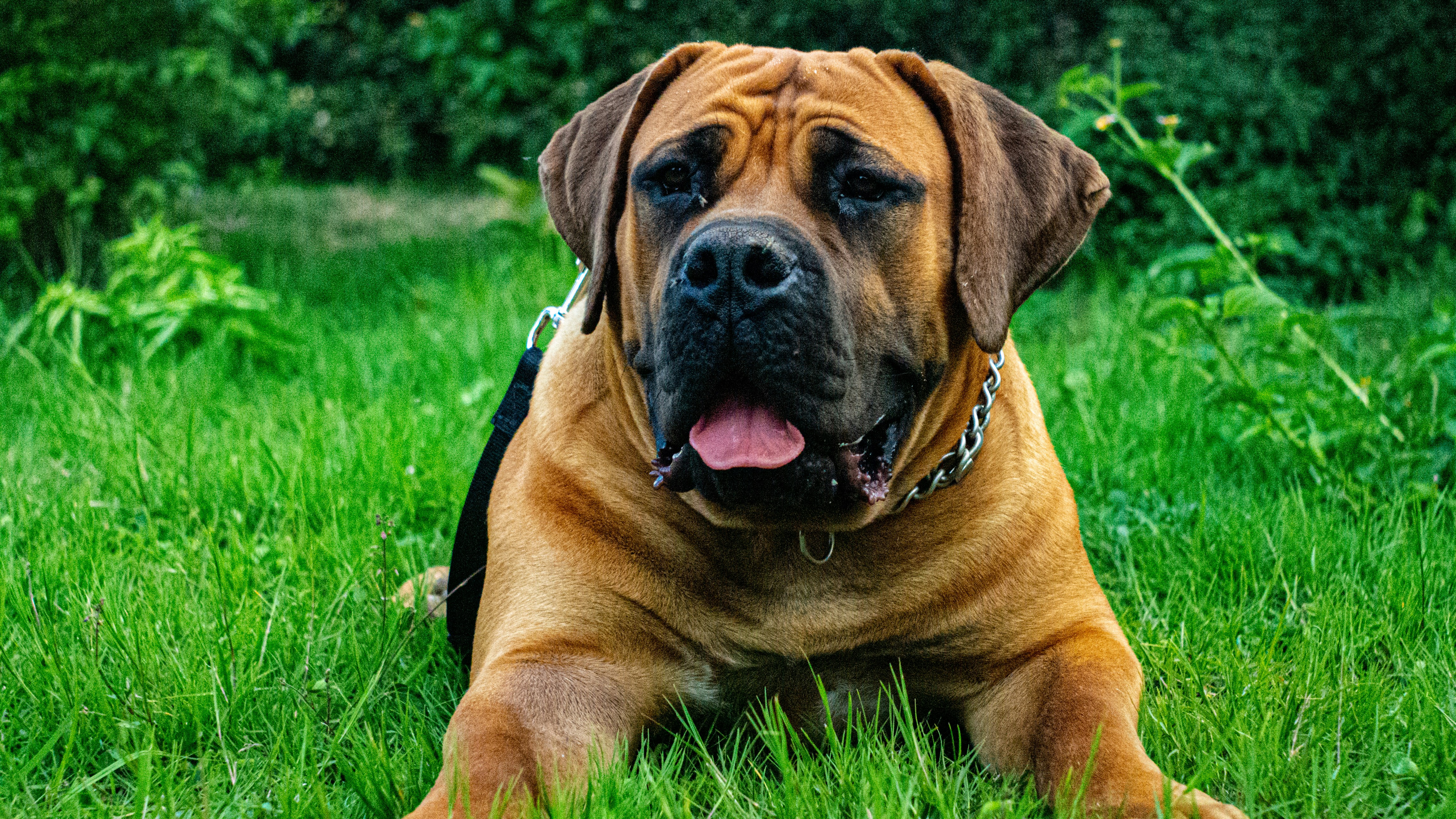 Photo by alekseyryan