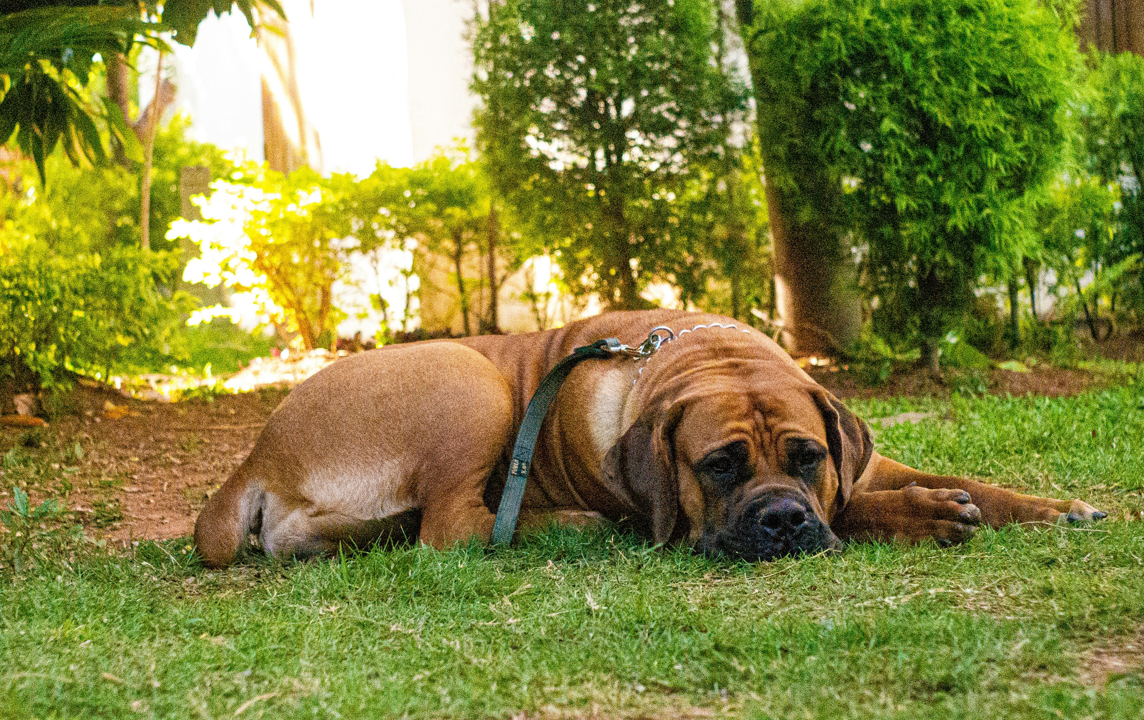 Photo by alekseyryan