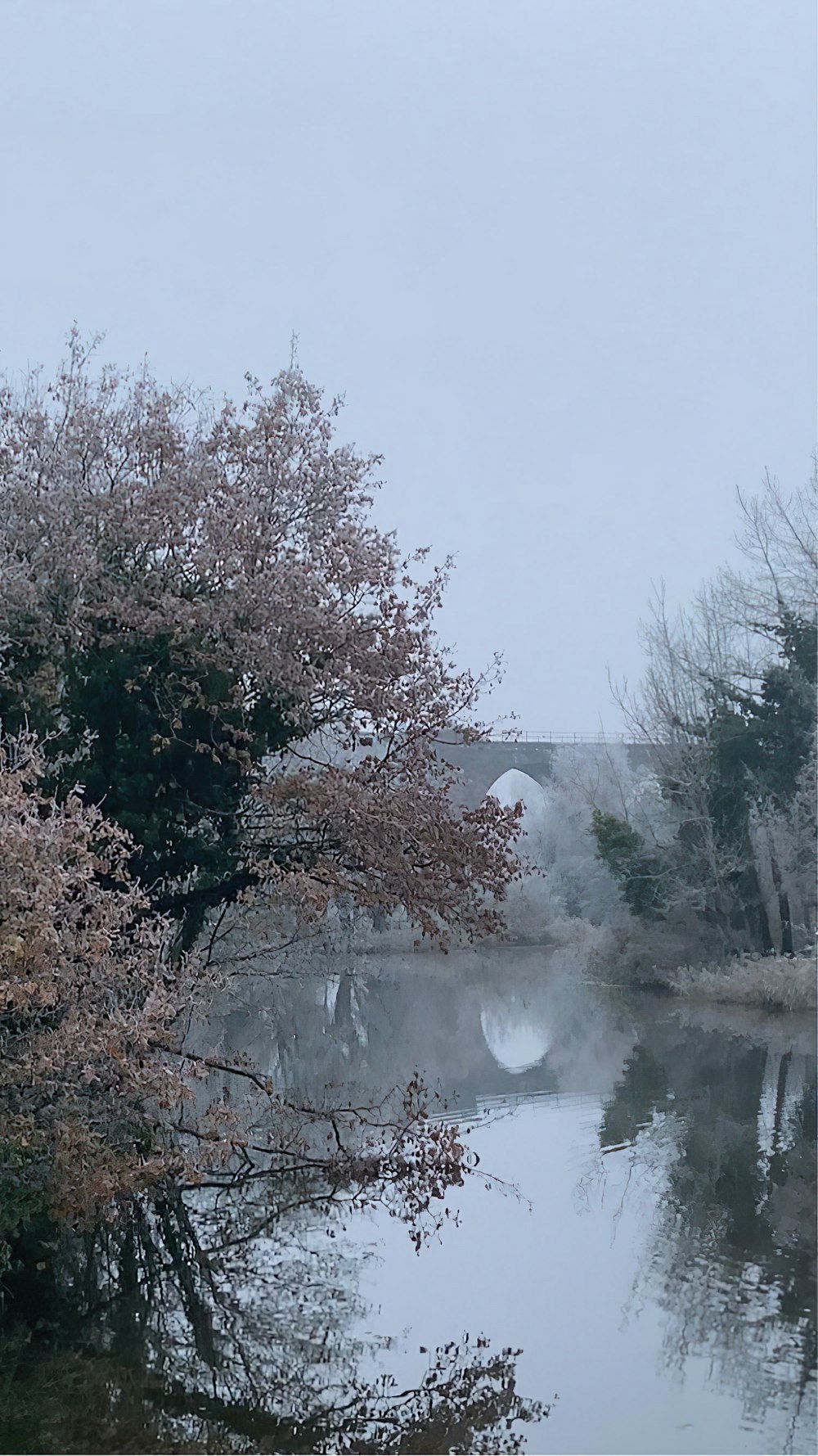 a body of water surrounded by trees and a bridge