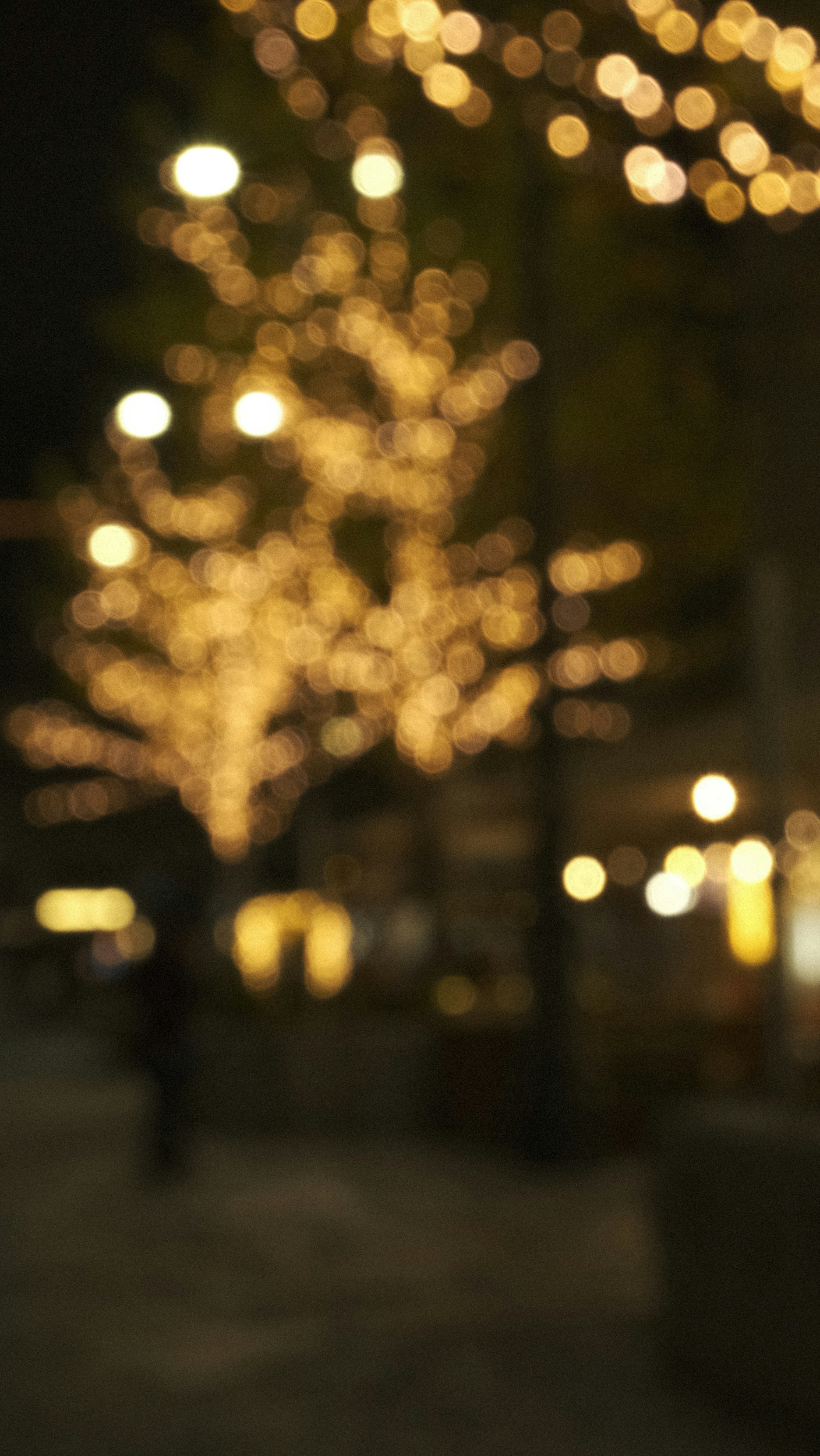 Photo by kmondschein