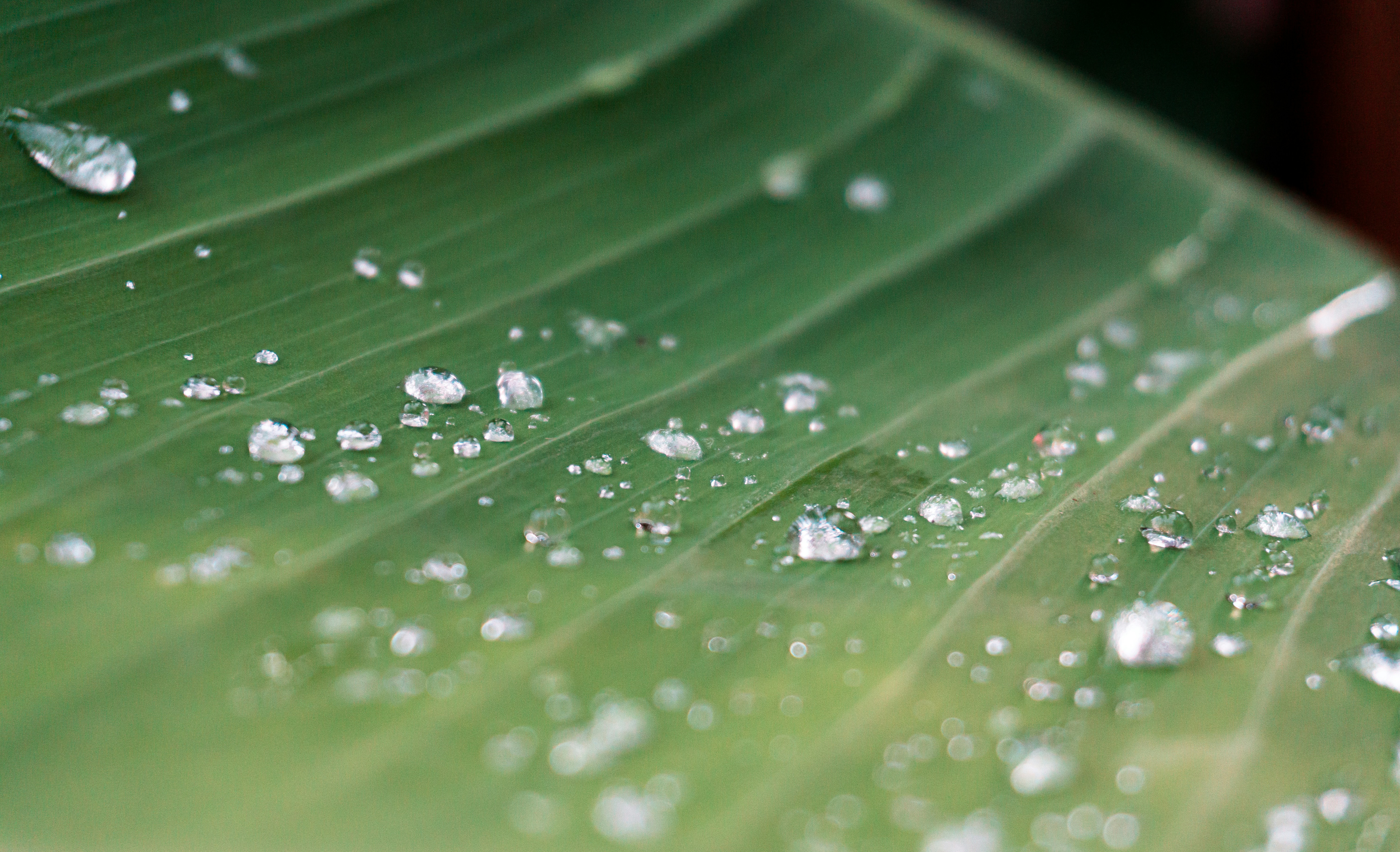 Photo by leonardo_64