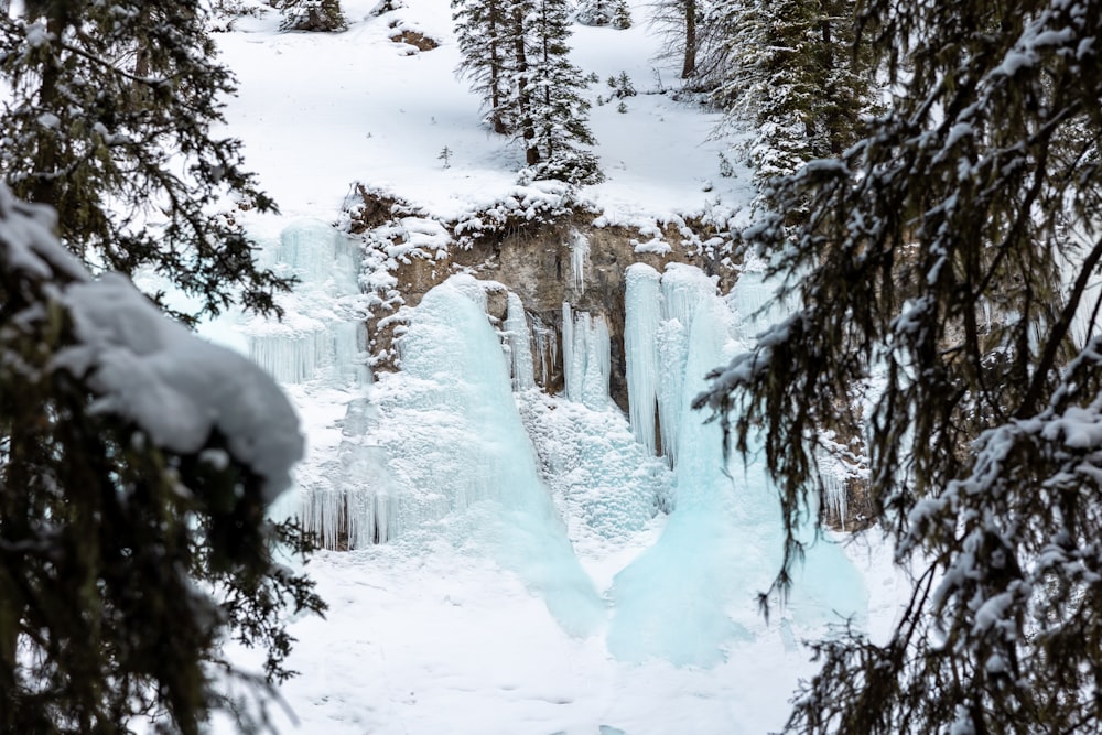 a view of a frozen waterfall through some trees