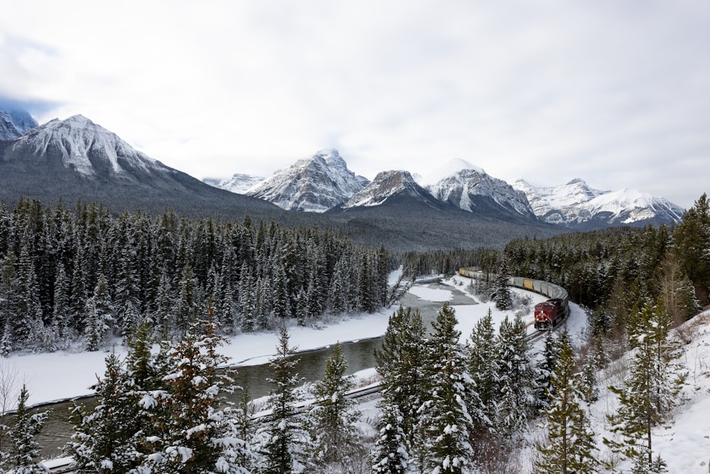 a train traveling through a snow covered forest