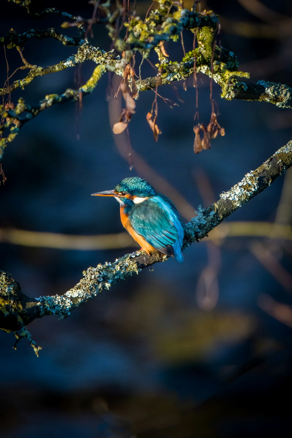 a small bird perched on a tree branch