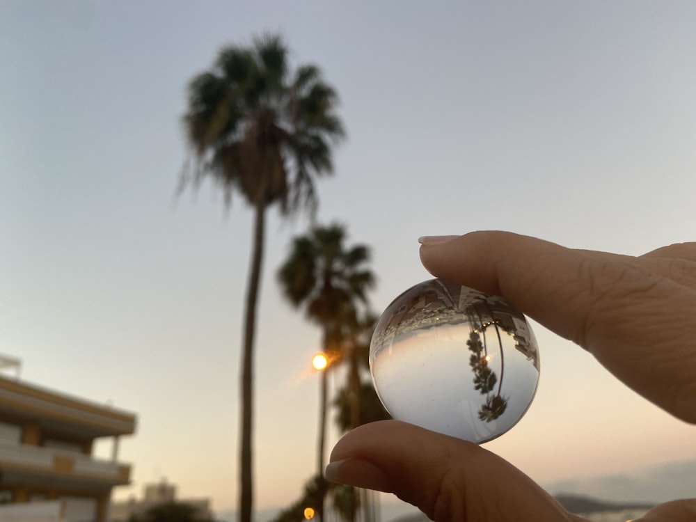 a person holding a glass ball in front of a palm tree