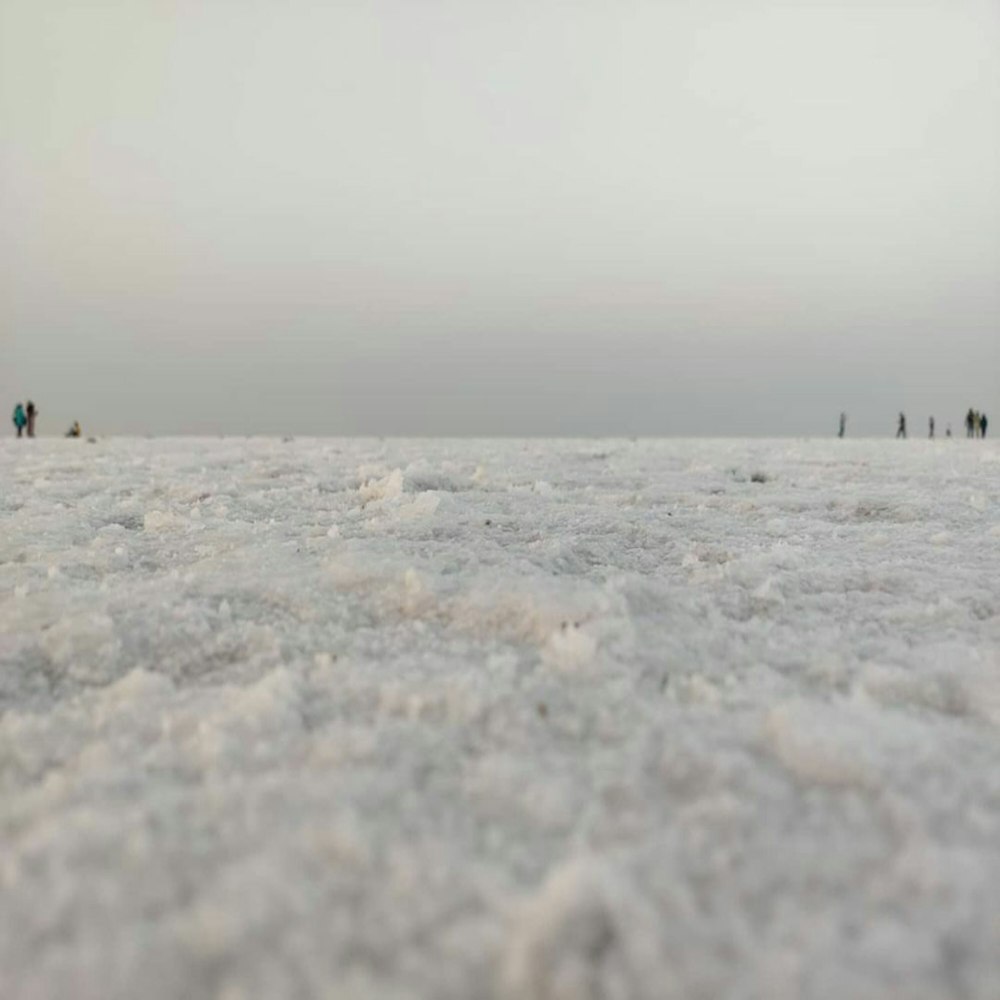 Un gruppo di persone in piedi in cima a un campo coperto di neve