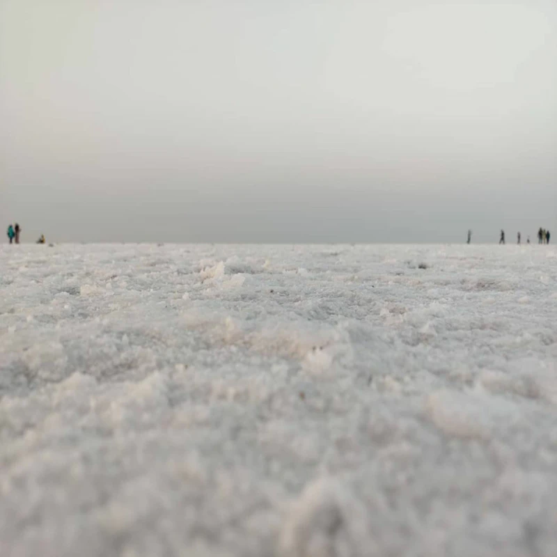 Rann Utsav White Desert