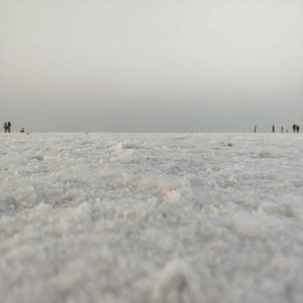 a group of people standing on top of a snow covered field