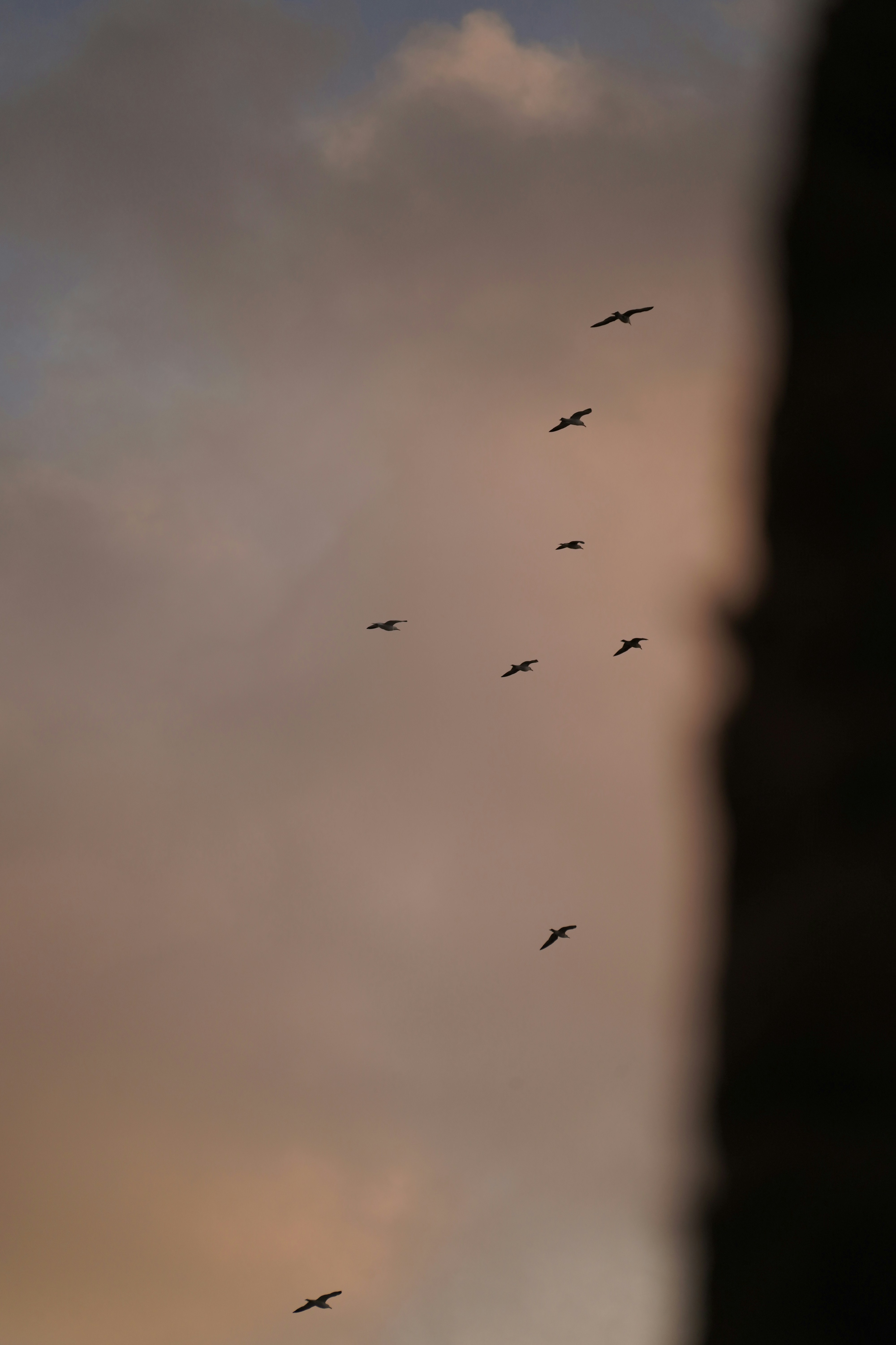 Photo by vencislavsh