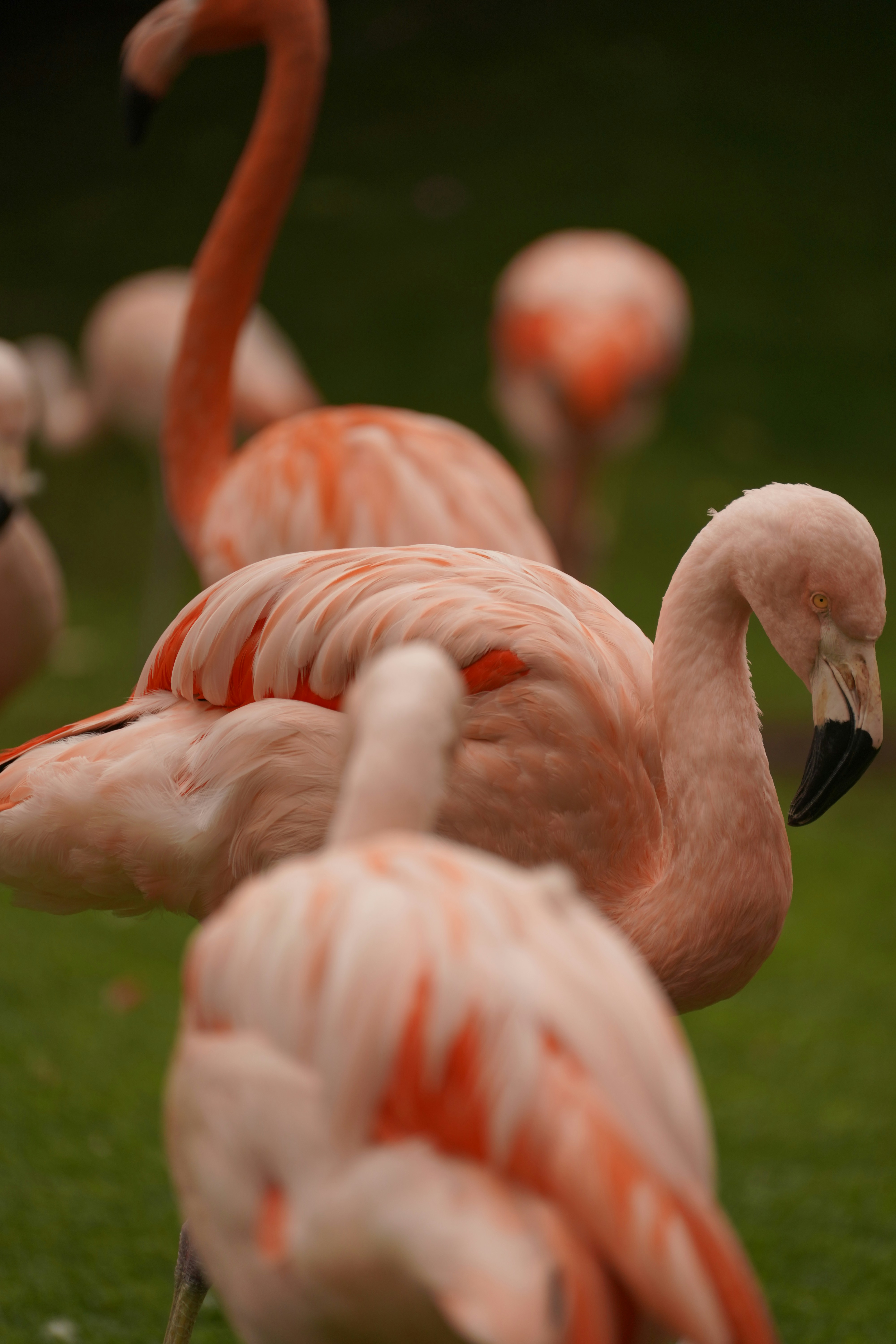 Photo by vencislavsh