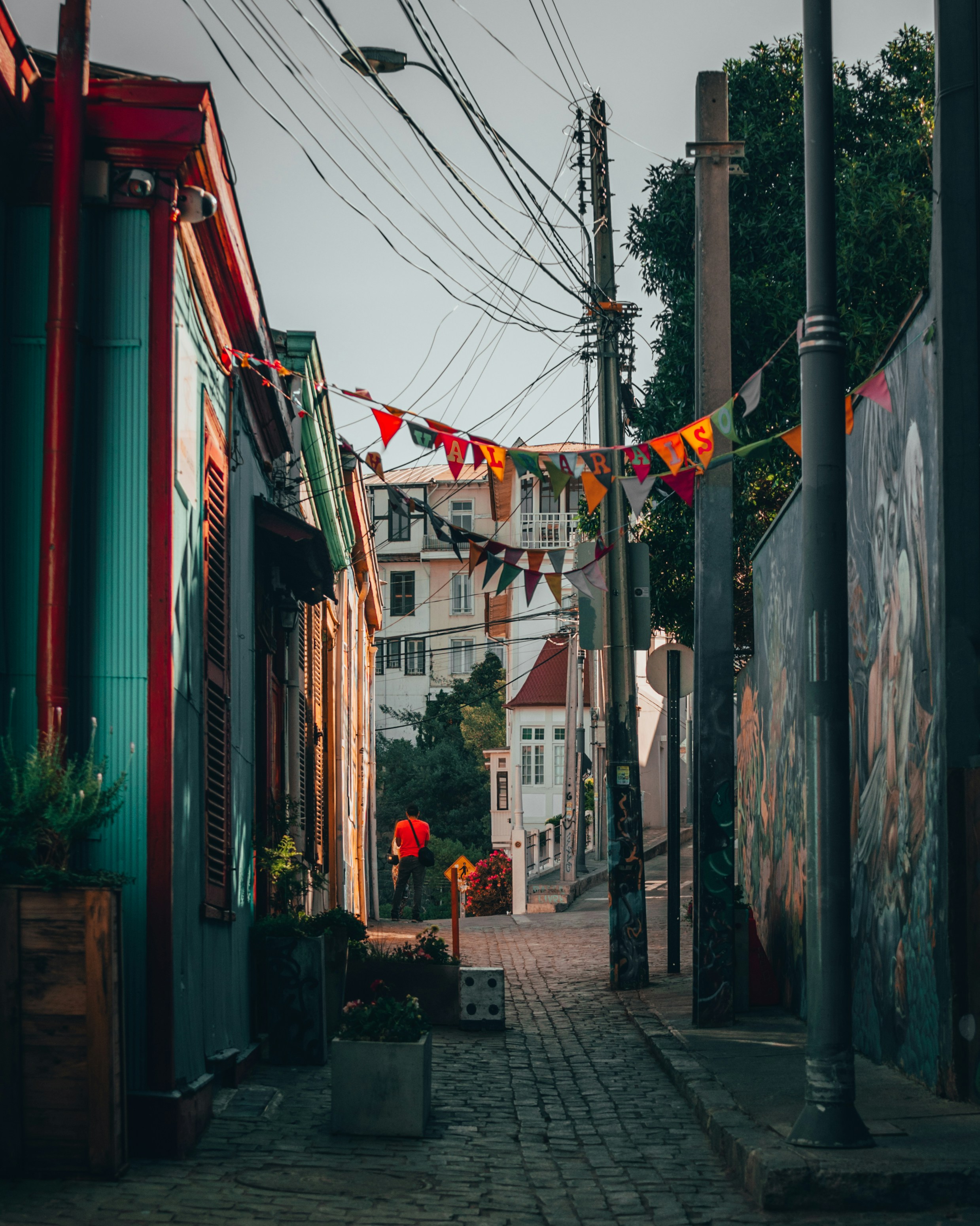 Photo by chalogallardo