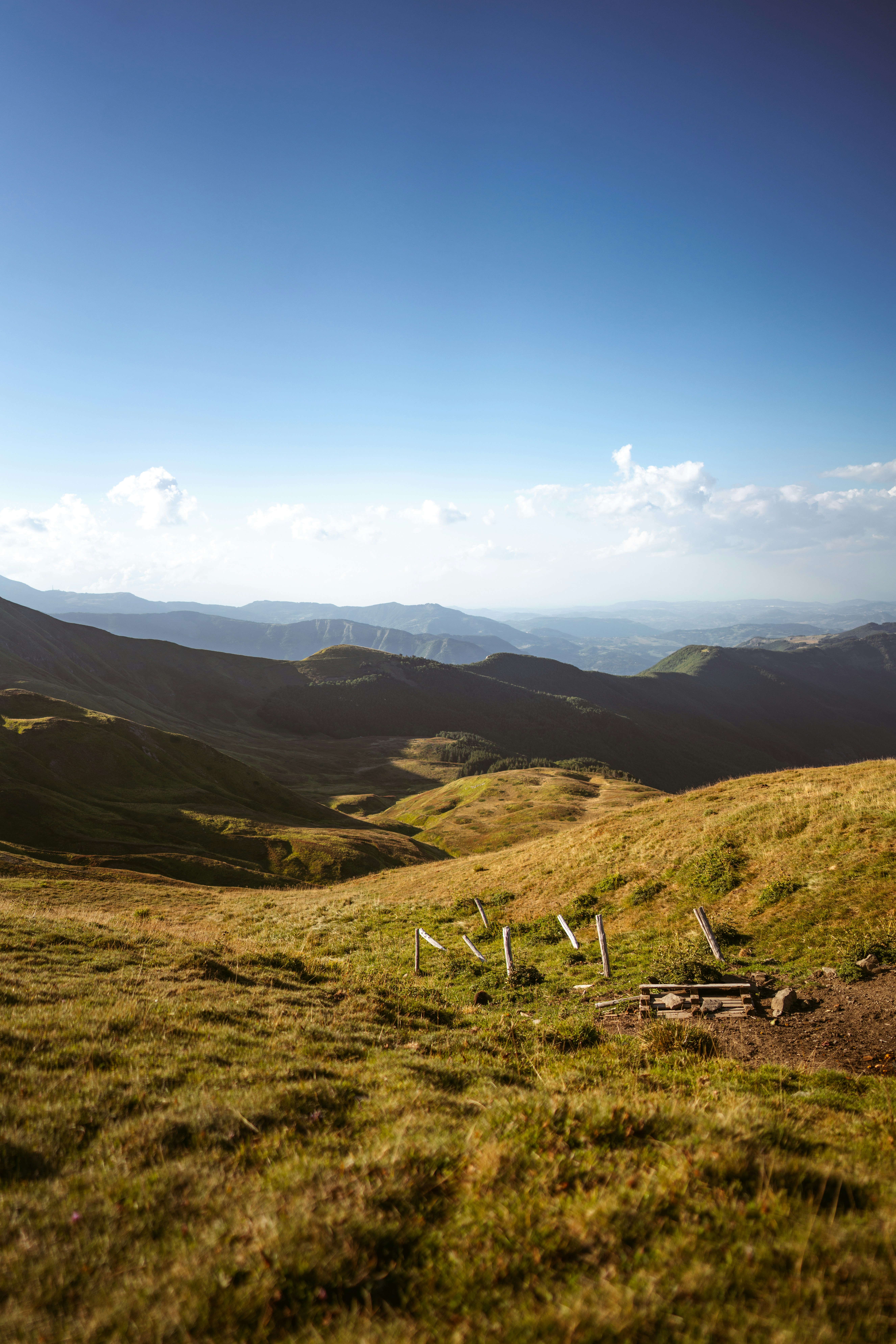 Photo by brunovdkraan