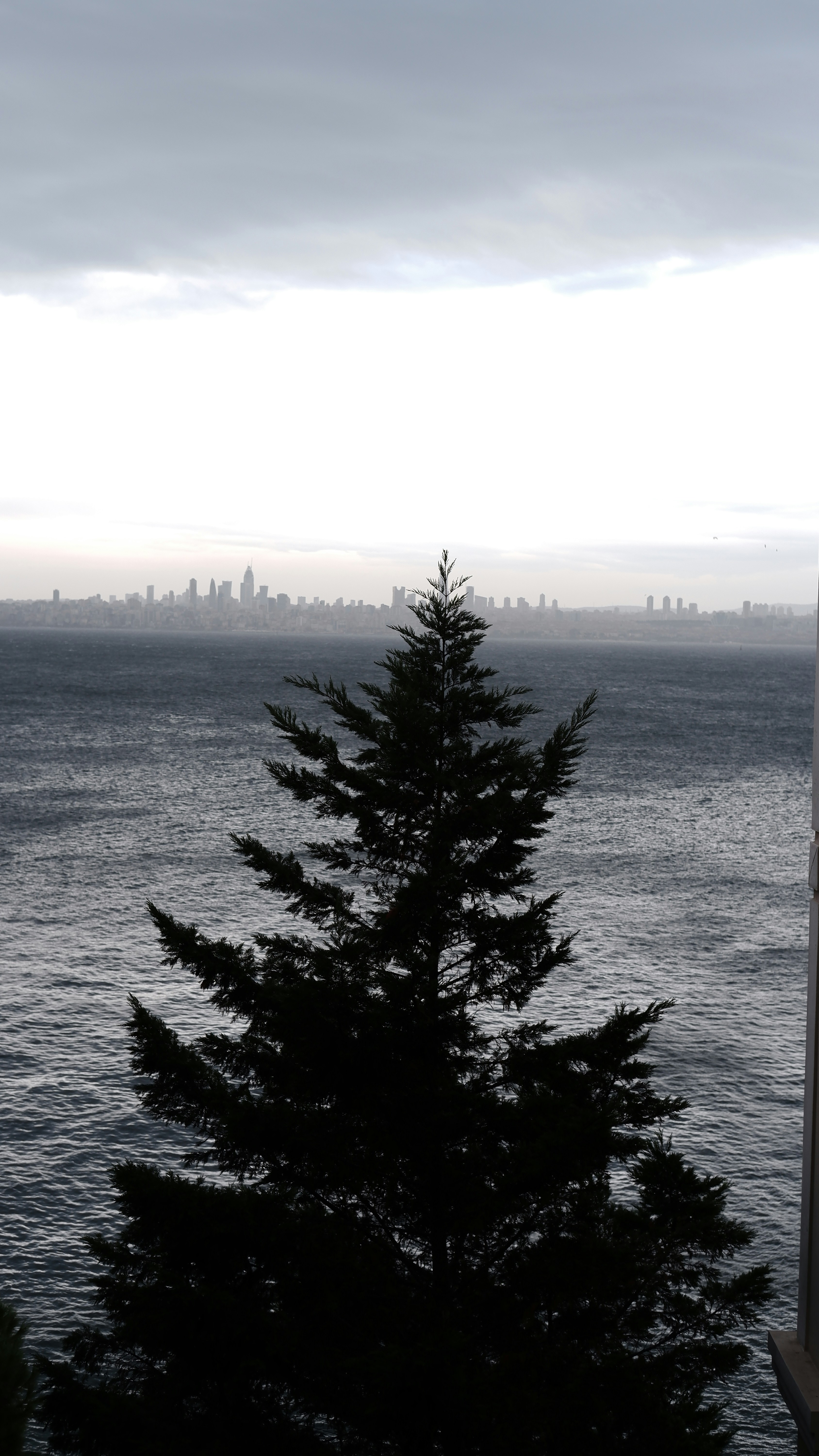 a view of a body of water with a tree in the foreground