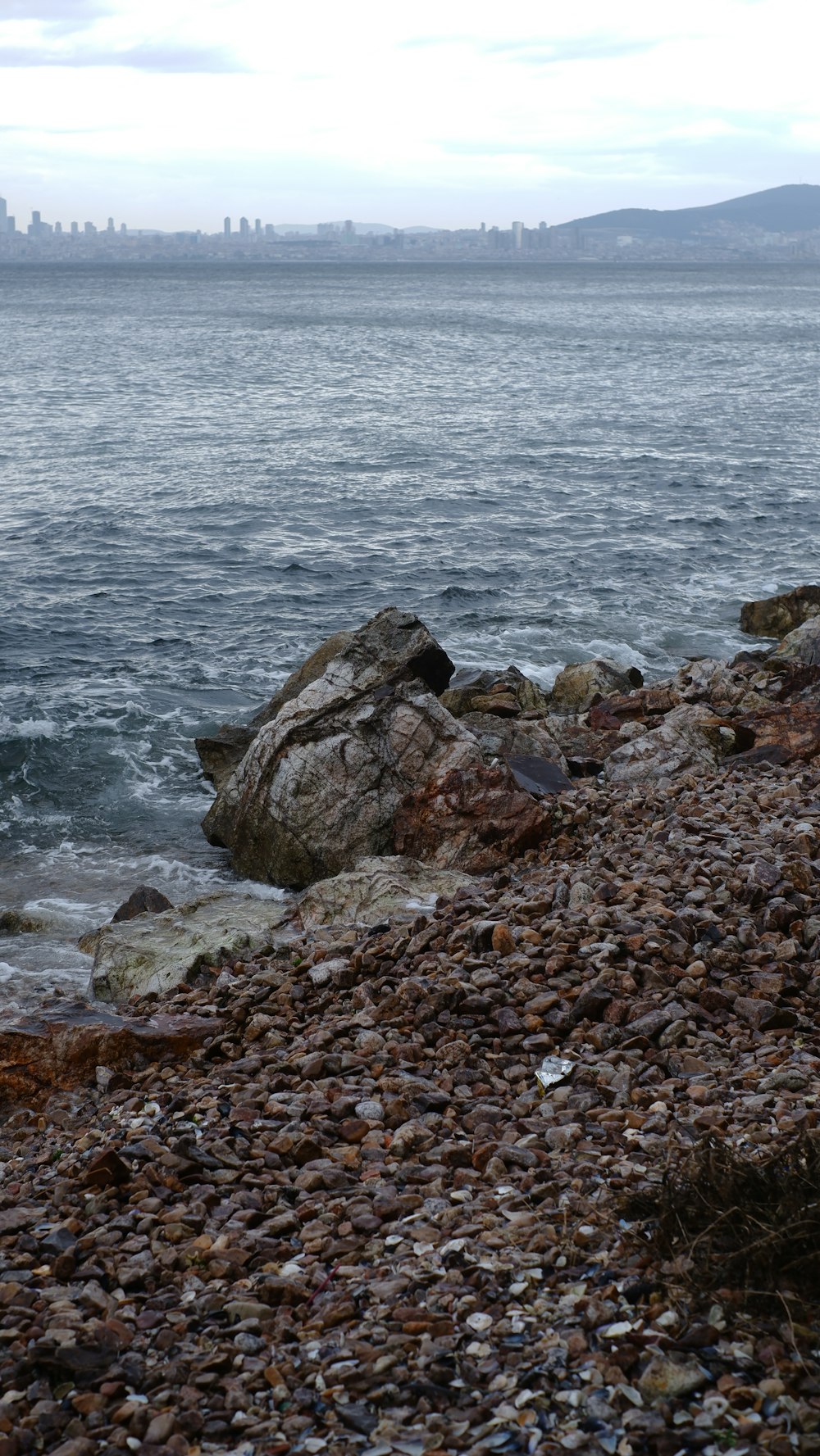 a bird is sitting on a rock near the water