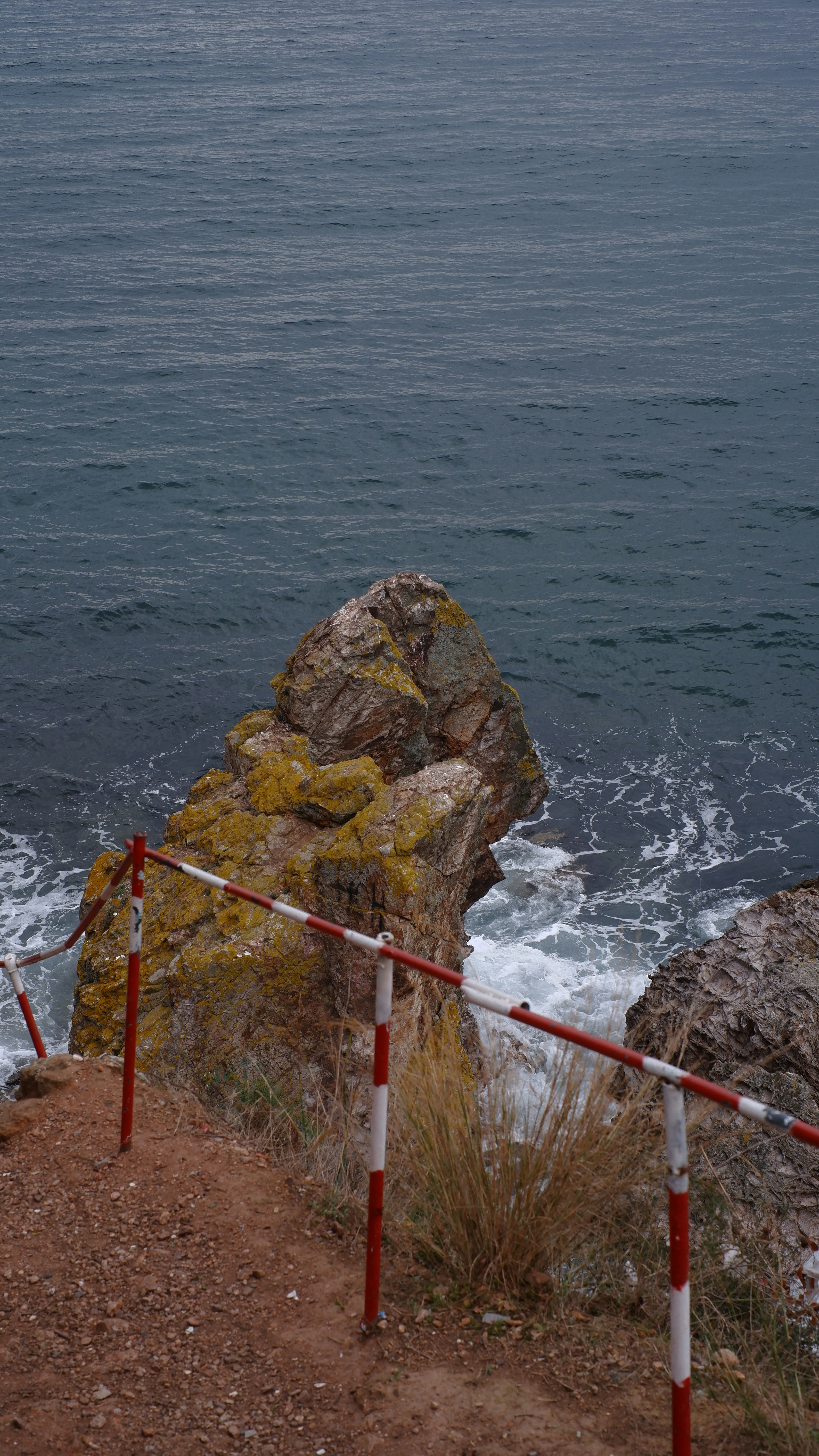 a bird is perched on a rock near the ocean