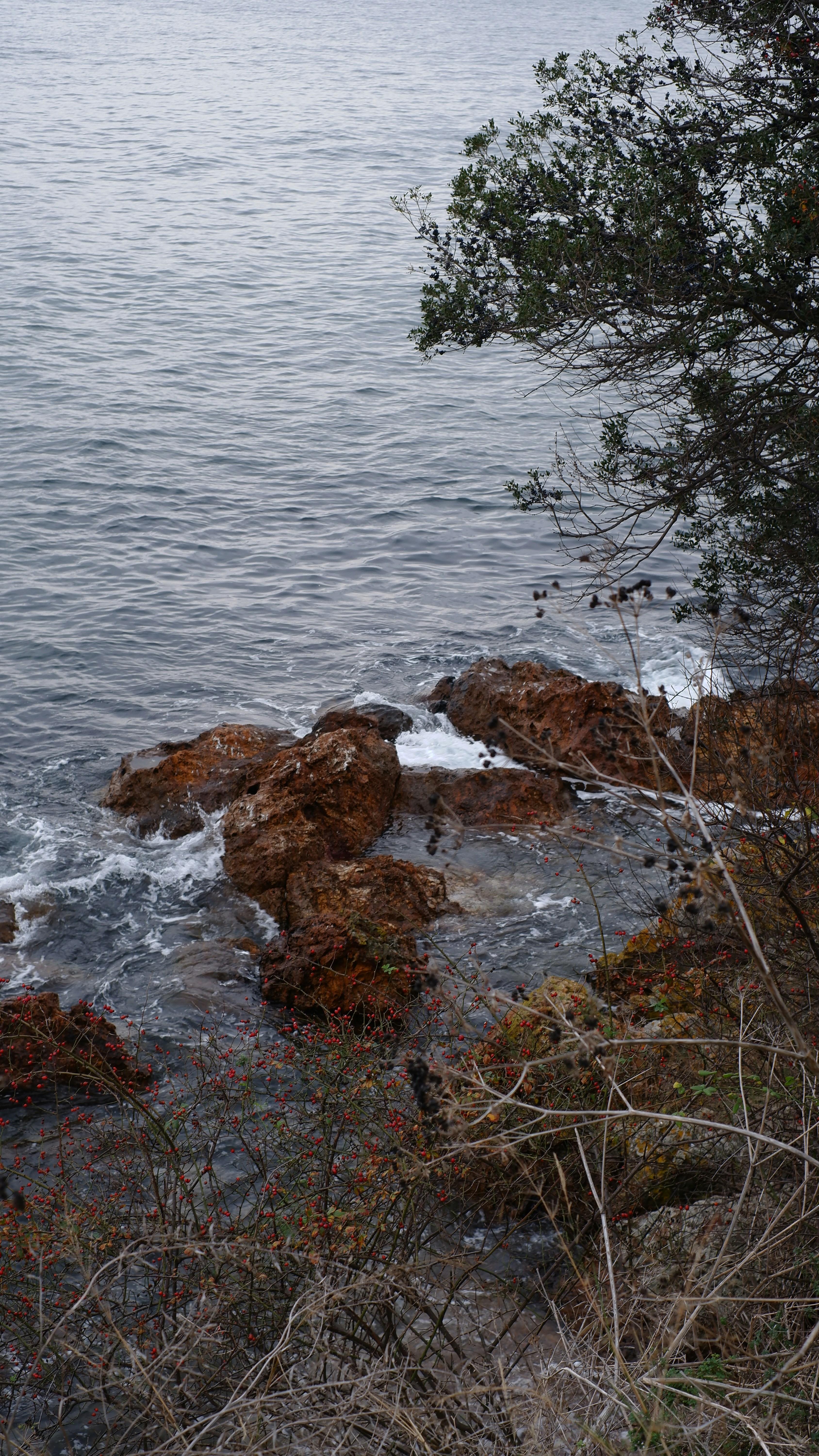 a body of water surrounded by trees and rocks