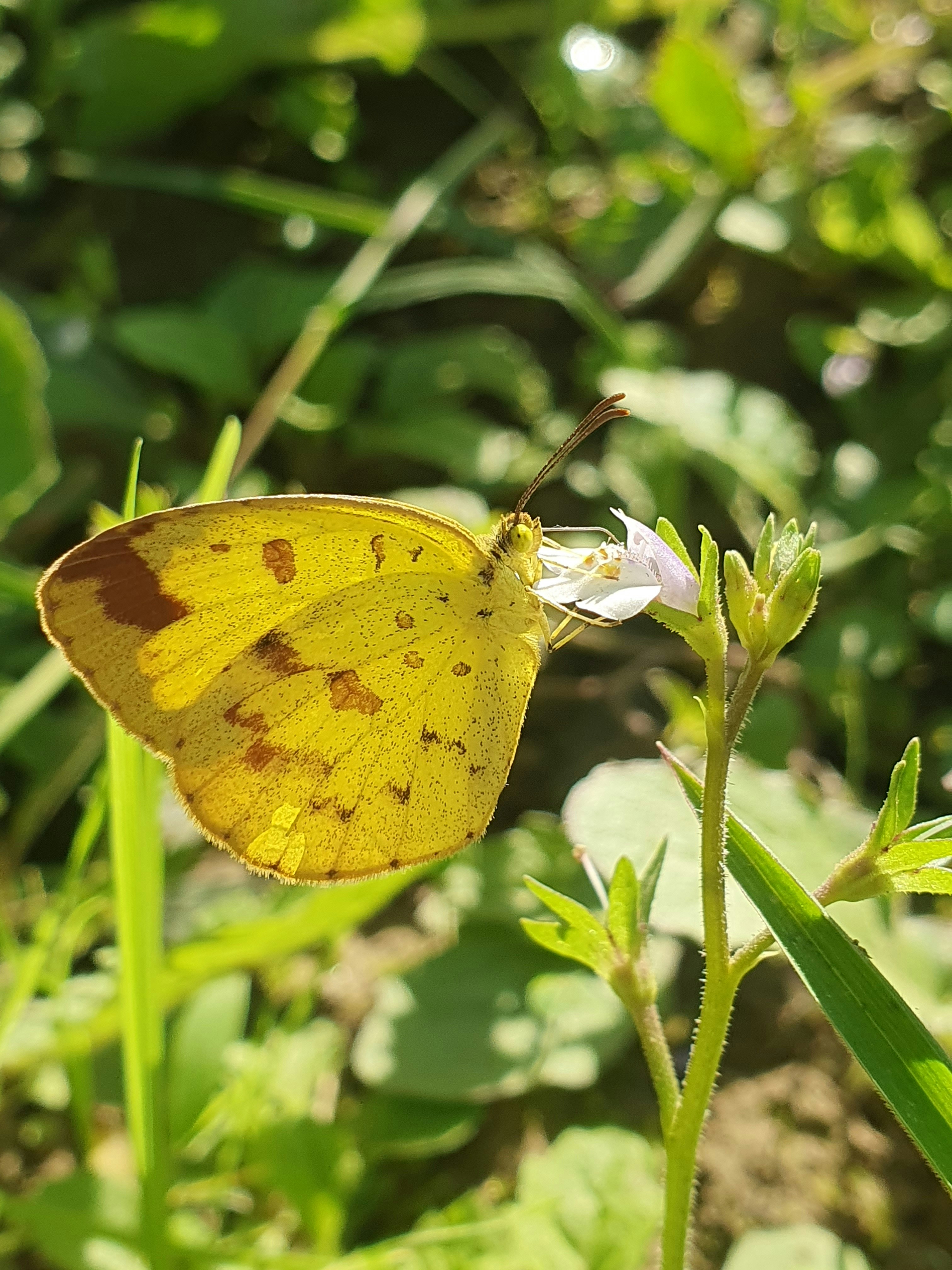 Photo by aliraza2235