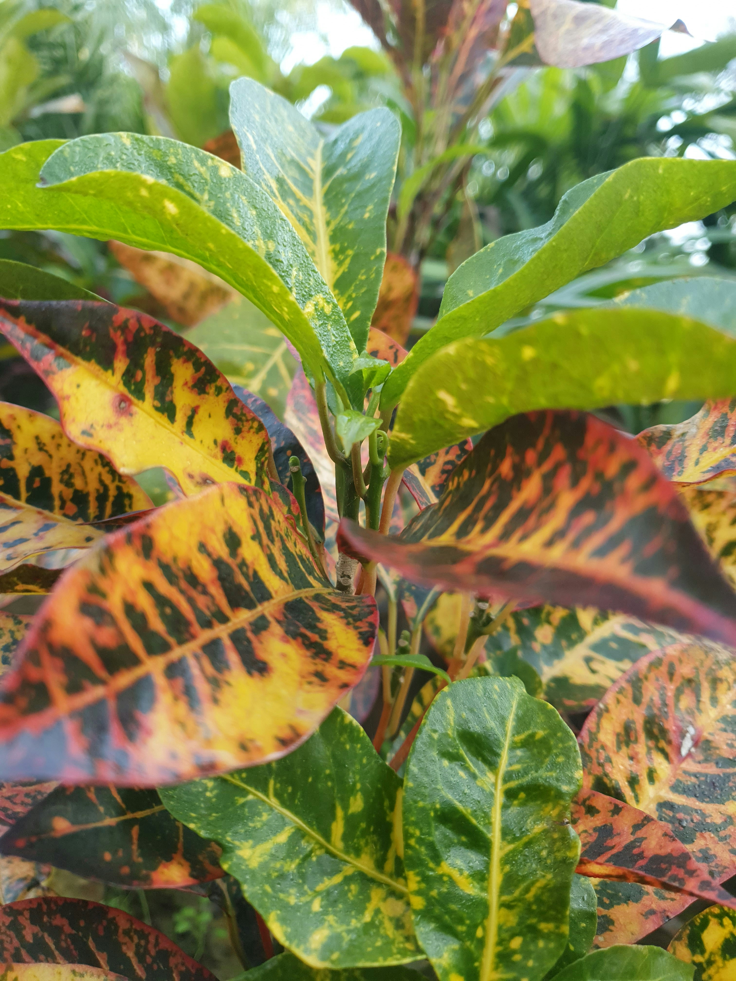 Photo by aliraza2235