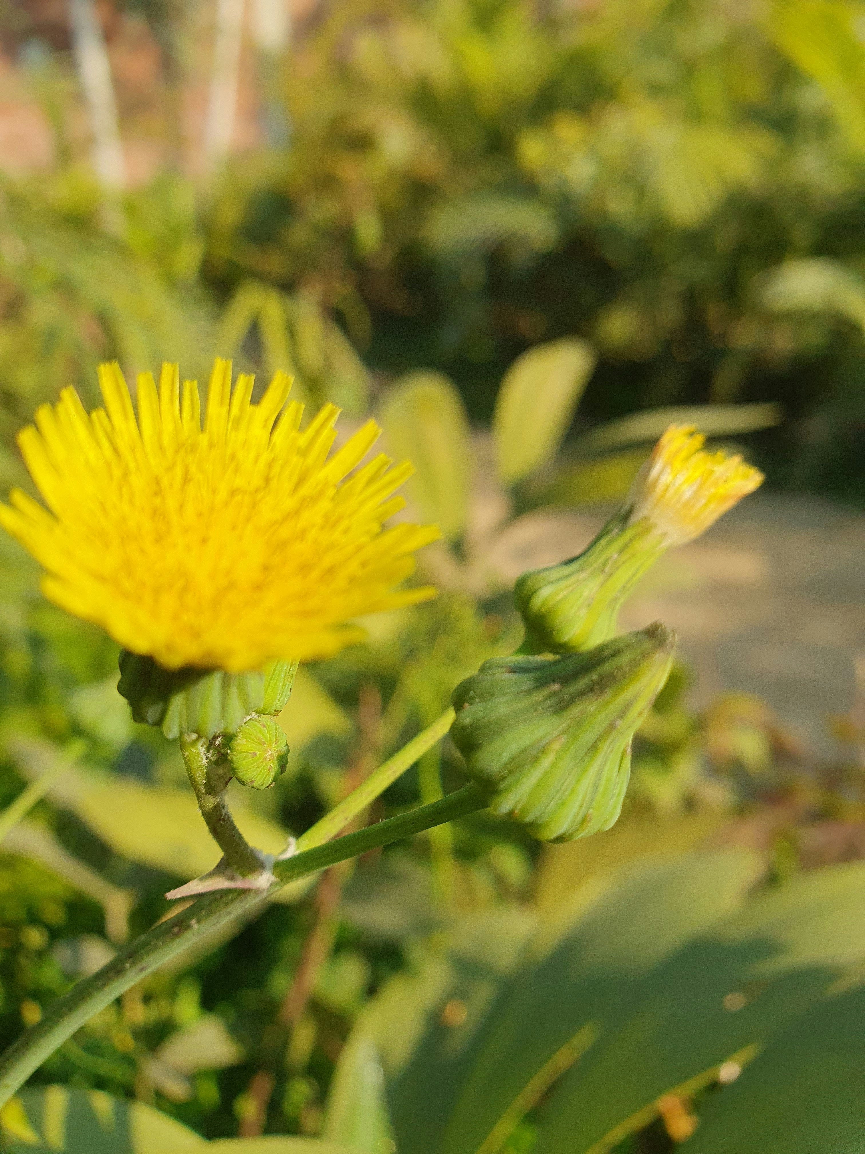 Photo by aliraza2235