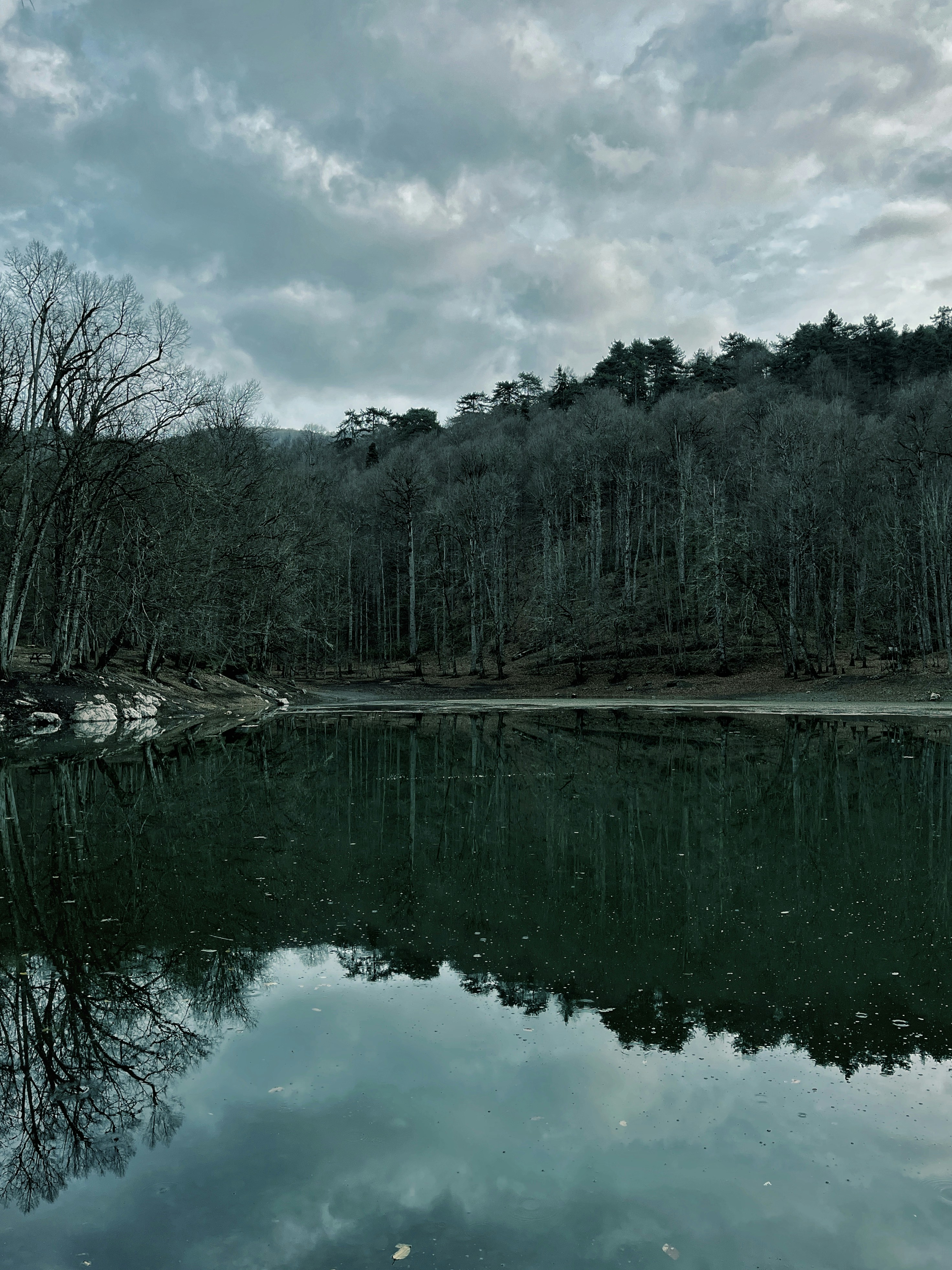 Photo by sanjanaladdha