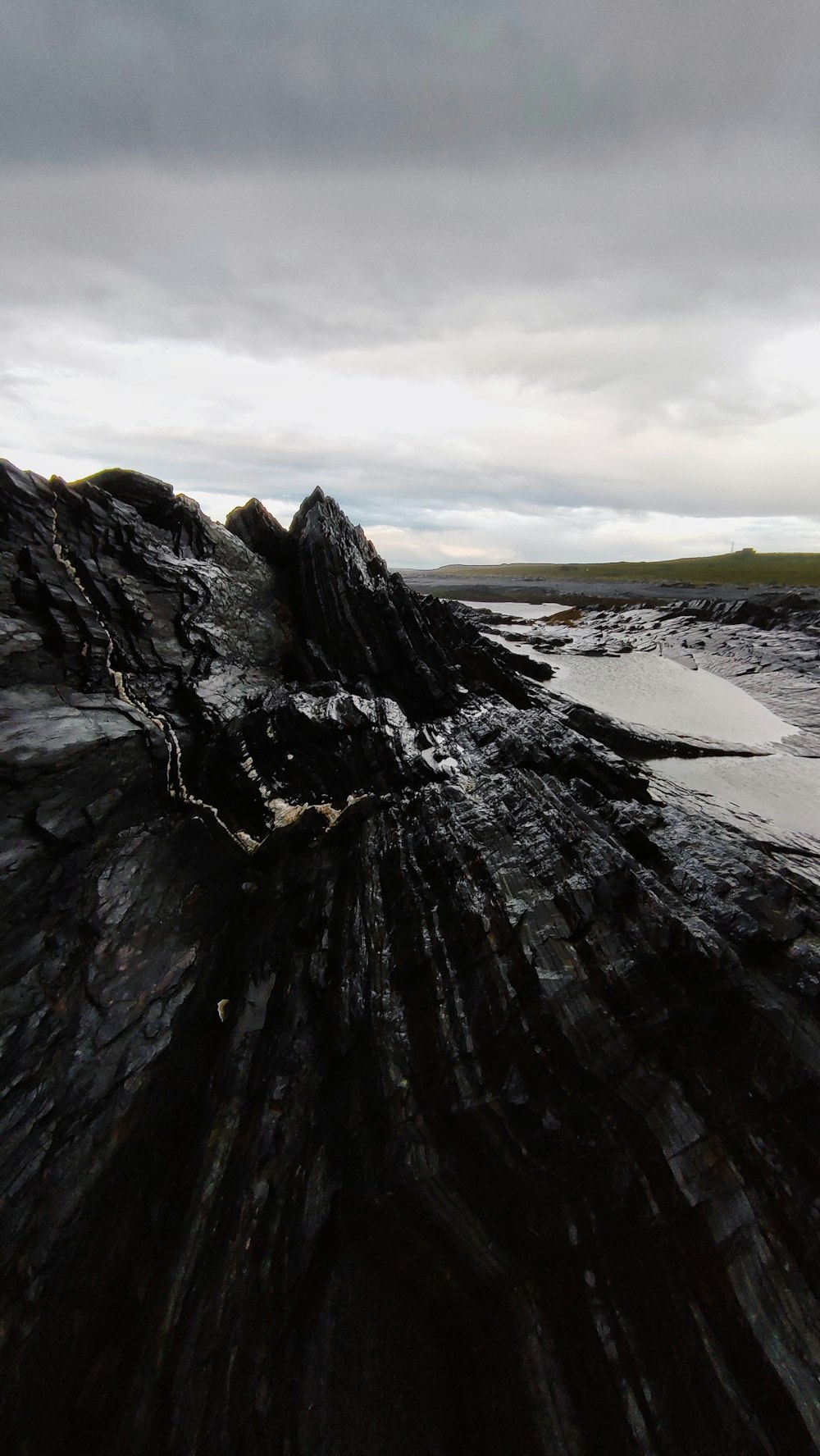 a large tree stump sitting on top of a beach