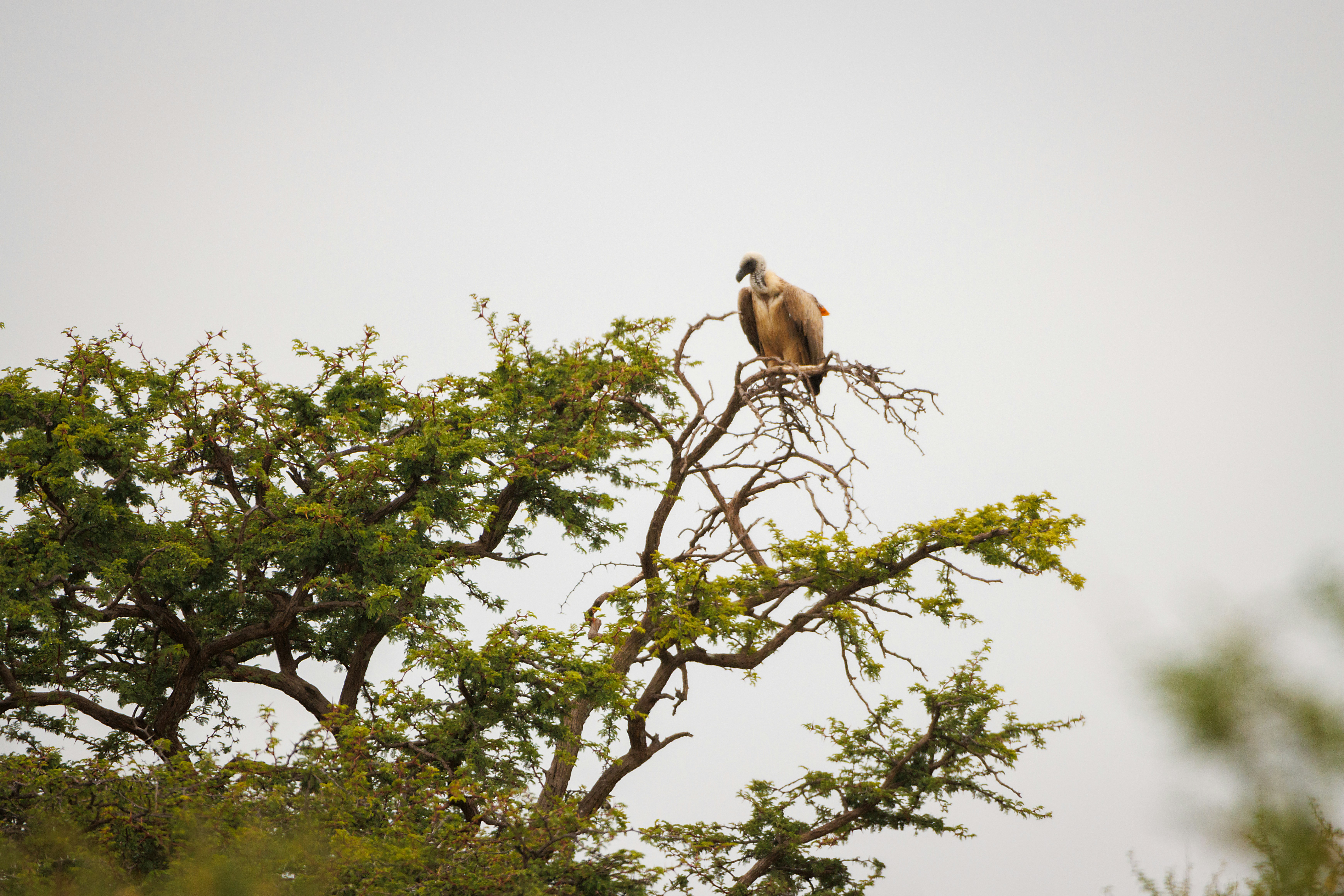 Photo by juantelle_louw_photography