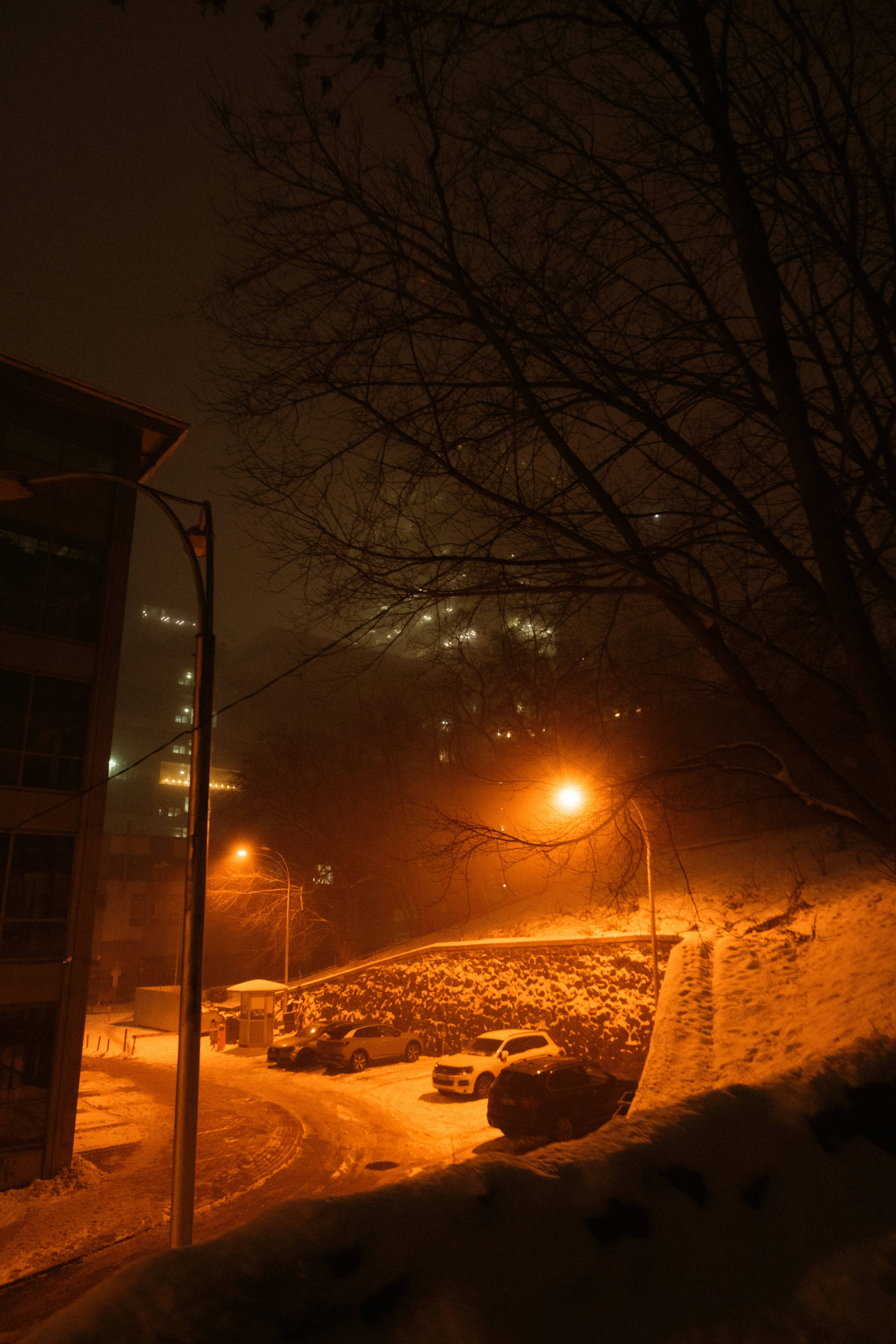 Photo by tobolenkoph