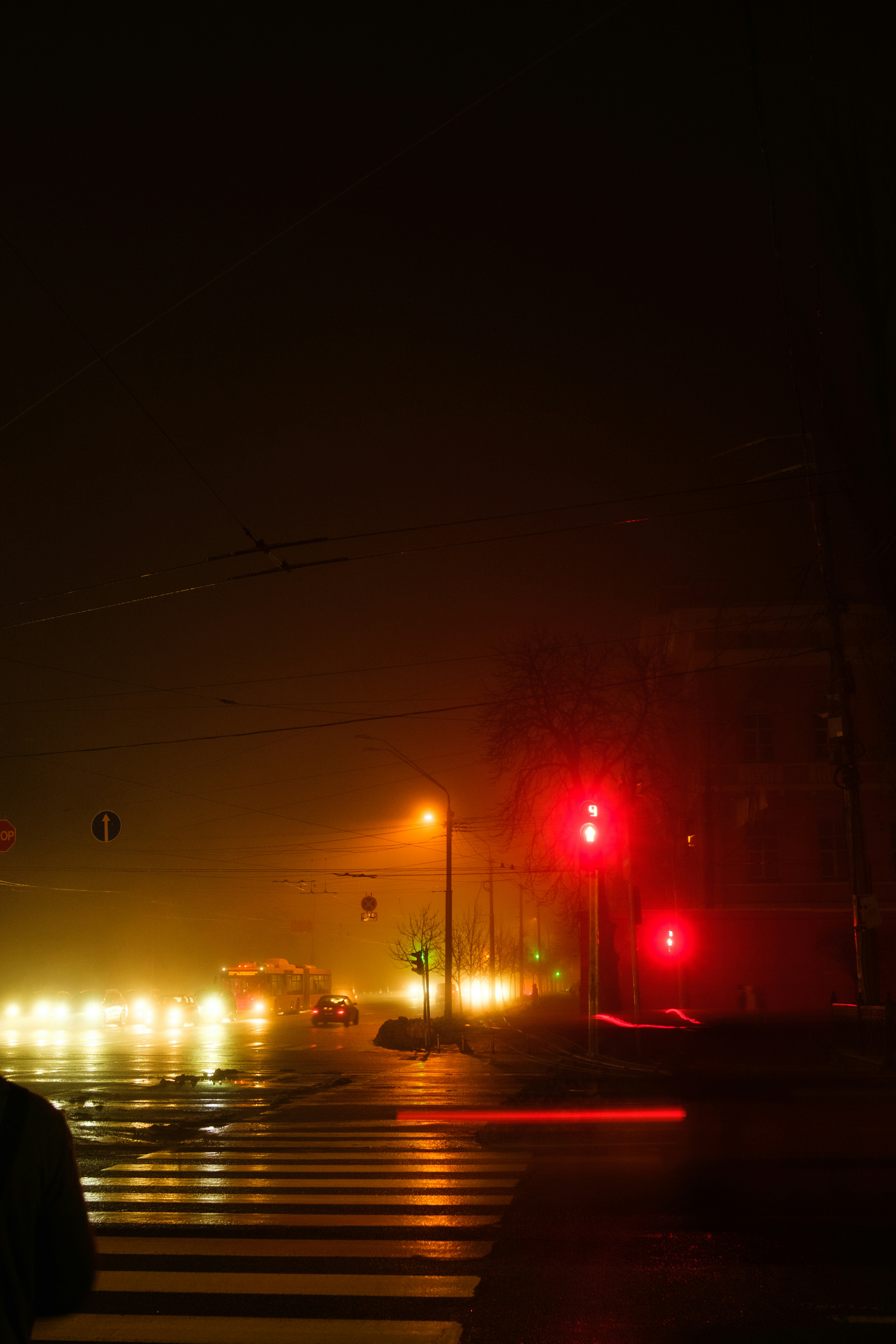 Photo by tobolenkoph