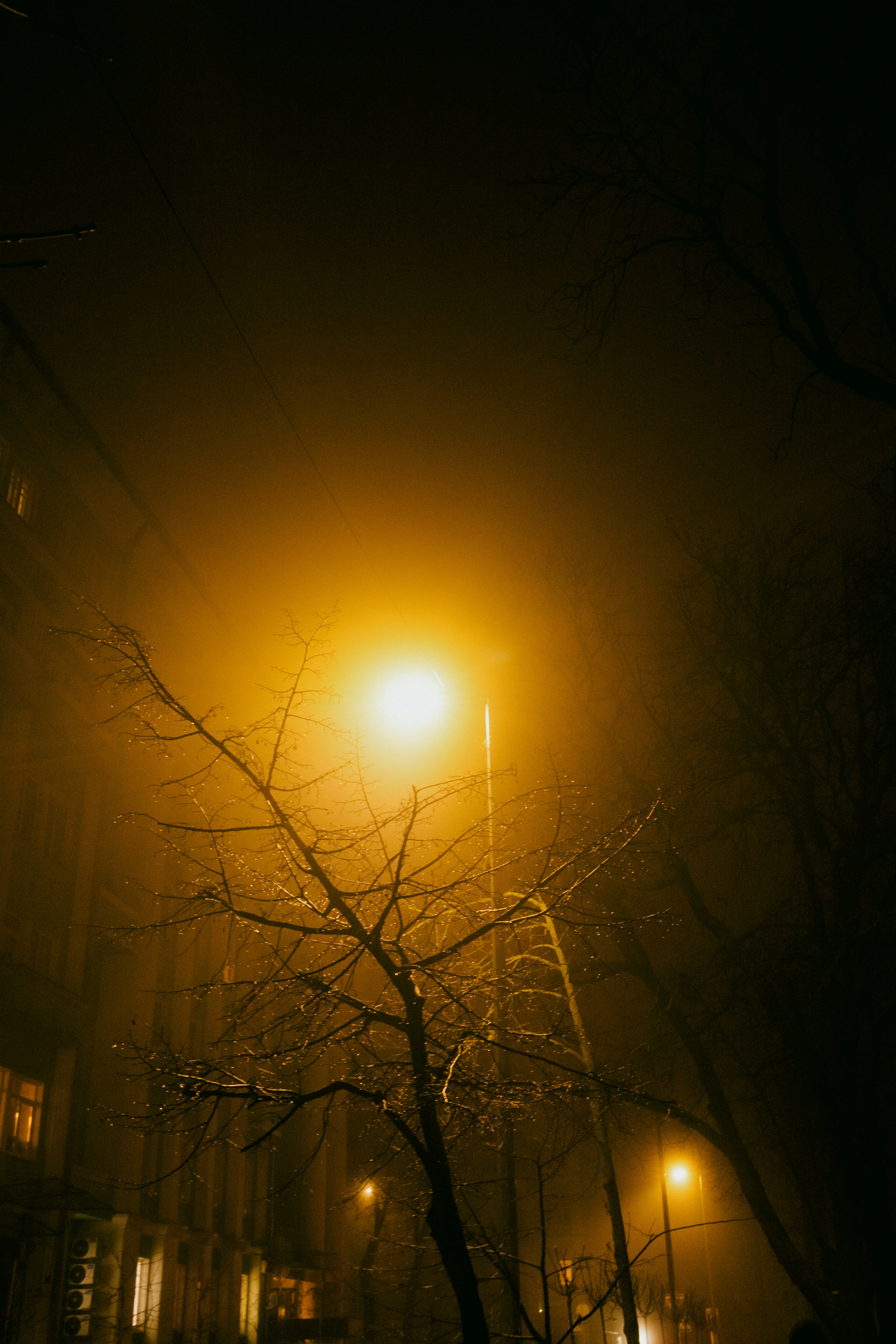 Photo by tobolenkoph