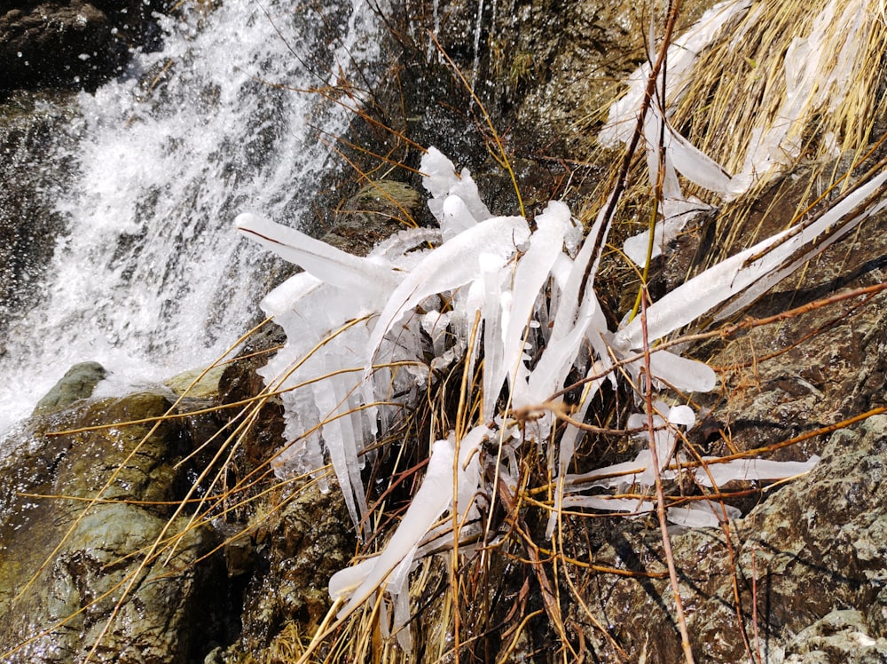 a close up of ice crystals on a rock near a waterfall