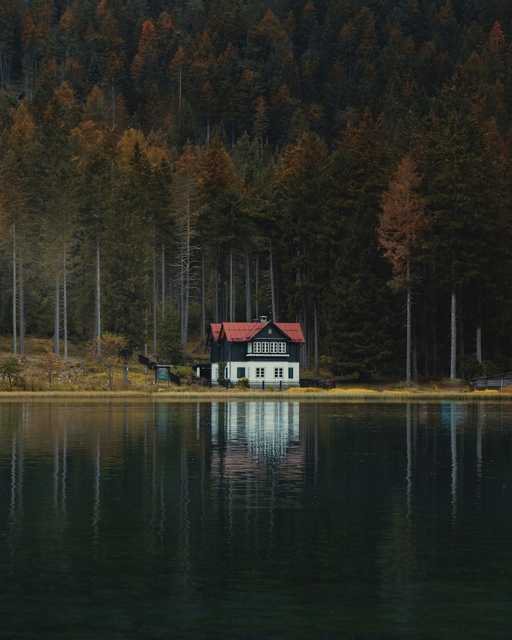 a house sitting on the shore of a lake