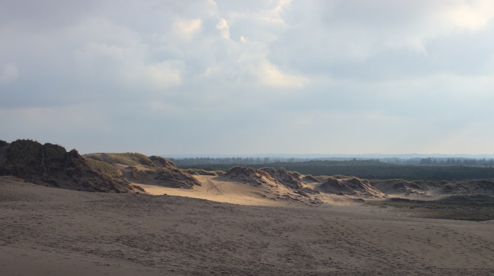 a sandy area with a few trees in the distance