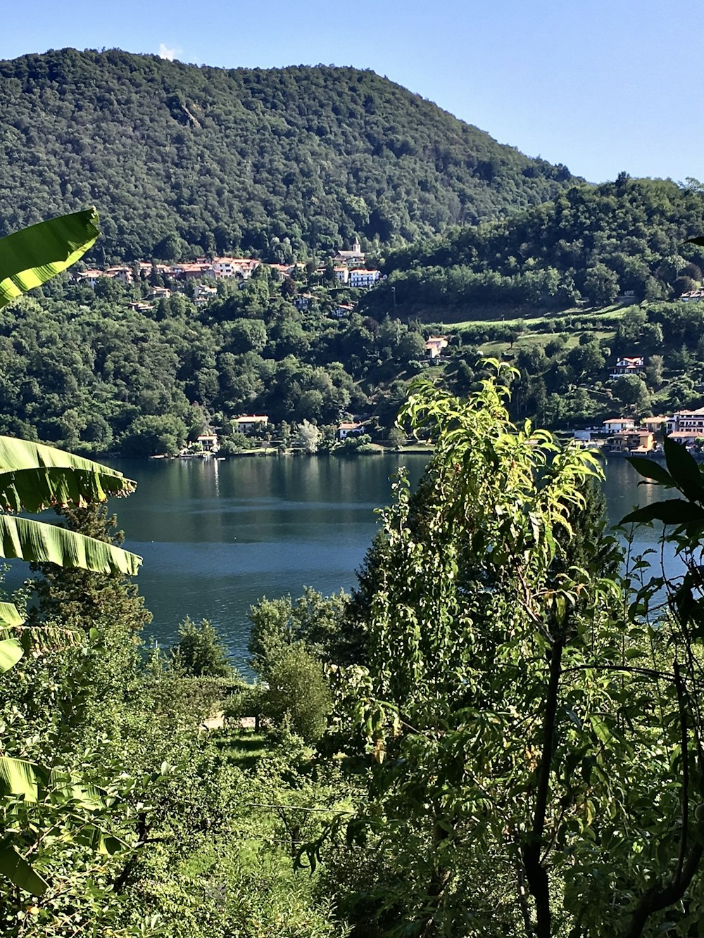 una vista di un lago circondato da alberi verdi lussureggianti