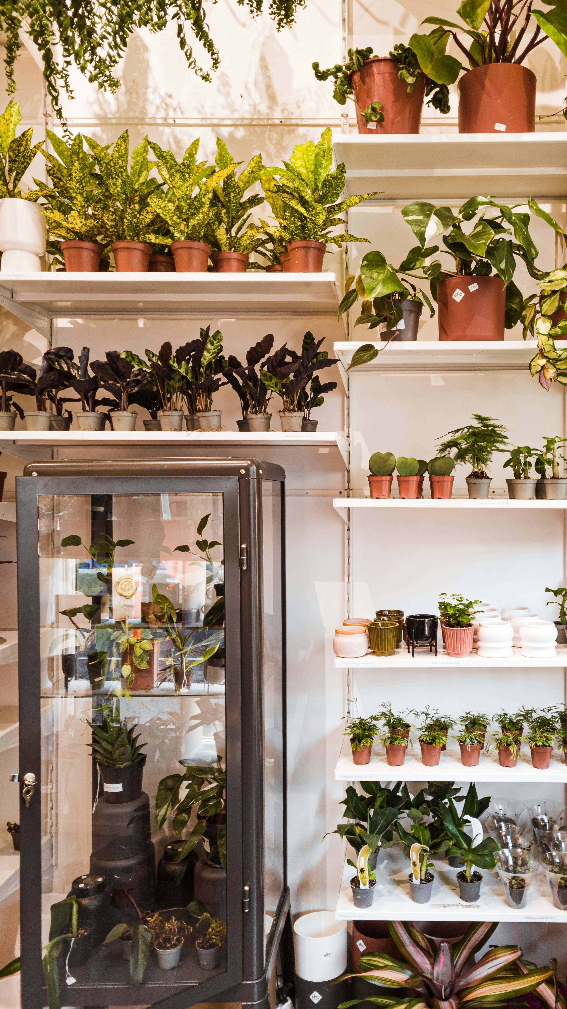 winter cozy aesthetic, wallpaper, Affordable Winter Outfits: Luxurious Looks on a Budget 2